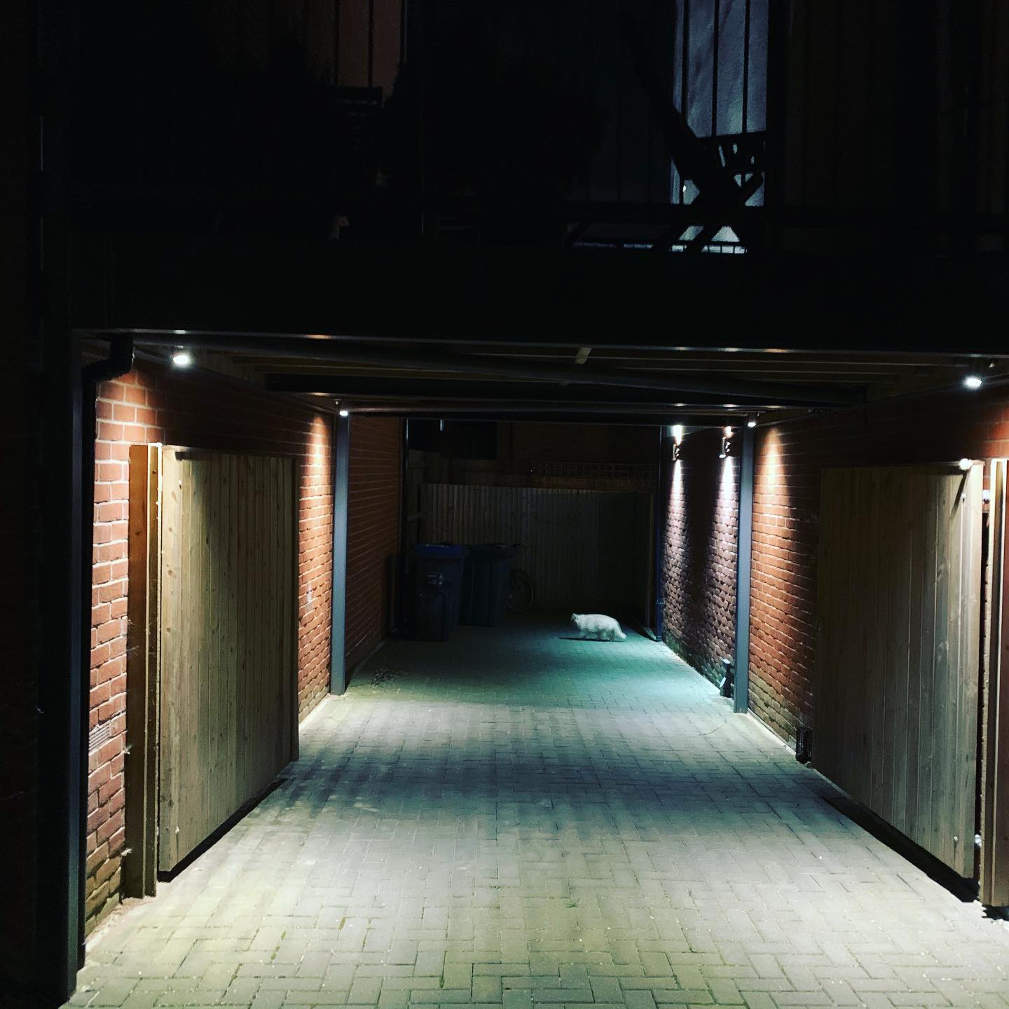 Outdoor lighting completed recently. Controlled both by a PIR motion sensor, and a wireless switch. Really lights the driveway up well. .
.
.
.
.
.
.
.
.
.
.
#TT #Electrical #TTElectrical #Electrician #London #Local #Friendly #Design #Lighting #External #Lights #Driveway #Wireless #PIR #Outdoor #Motion #Sensor