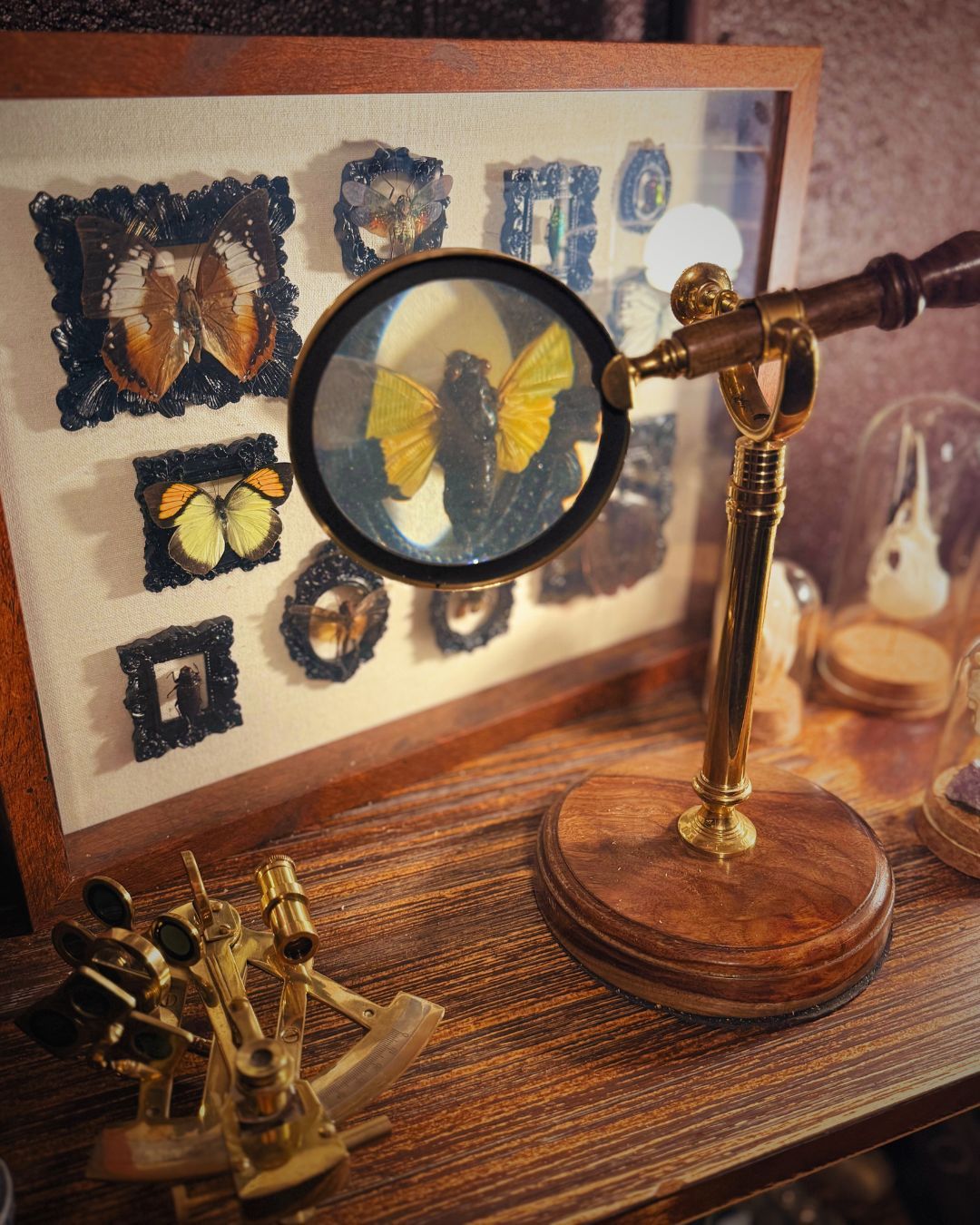 Science IS art!
#art #science #darkacademia #vintage #abqtodo