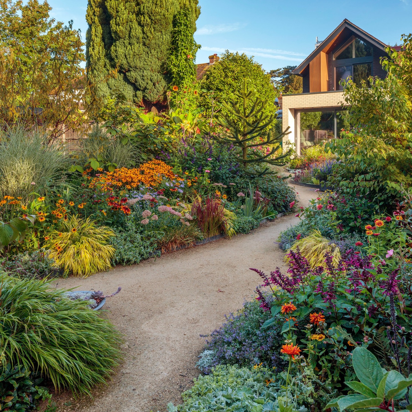 Last post in a series regarding @gardens_illustrated publication (February 2026, issue 361).
Sometimes it is important to ‘zoom in’ the bigger picture and see the finer details. Here are a few plant portraits captured by @clivenichols that are close contenders in addition to my Top 8 key plants listed in the article. Swipe left to see them and get your copy of Gardens Illustrated to read about the rest.
#gardensillustrated #plantingdesign #plantingdesigner #GardensOfInstagram #GardenInspiration #InMyGarden #Horticulture #SummerVibes #ngs #nationalgardenscheme #surreyngs #Surrey #Woking #surreyhills #surreylife #surreygardeners #gardenvisiting #grandifloruscouk #horsell #guildford #weybridge #cobham #esher #waltononthames #hersham #addlestone #westbyfleet #byfleet #virginiawater #ascot