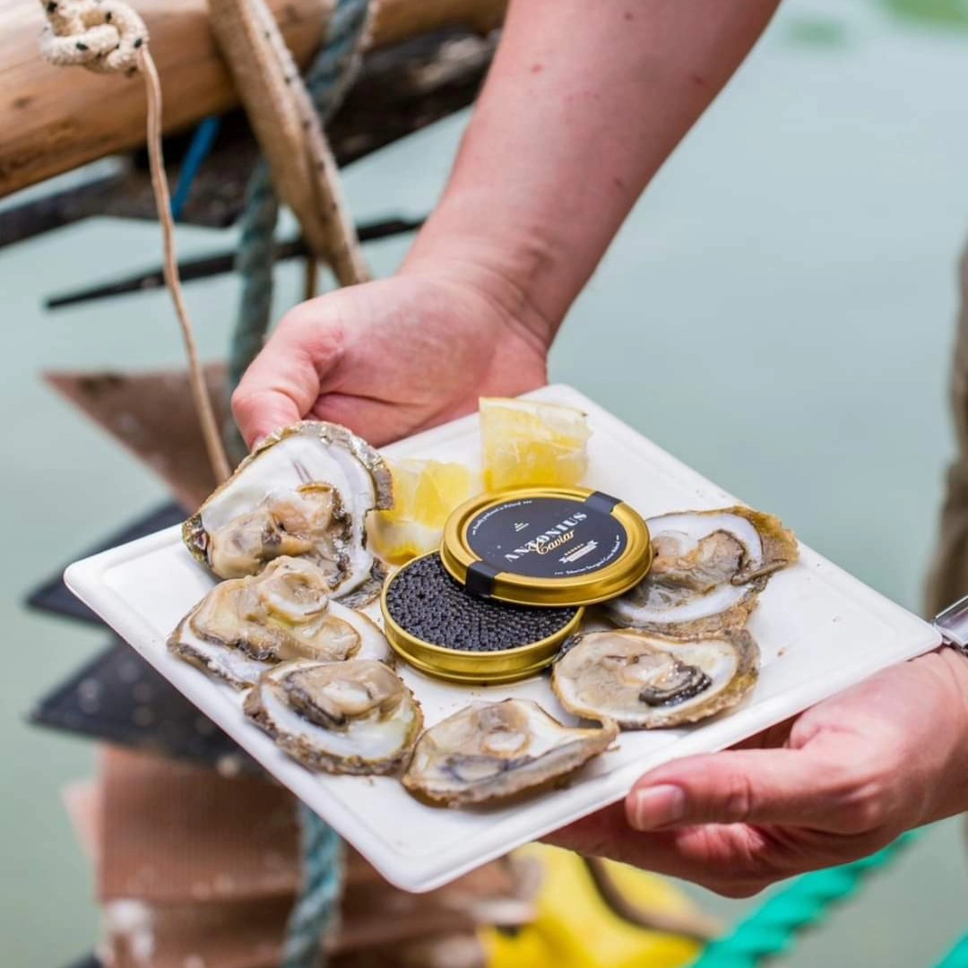 Set sail and savor the luxury of Antonius Caviar on the open seas! Whether you’re cruising along the coast or anchored in a tranquil cove, indulging in Antonius Caviar on a boat adds an extra touch of elegance to your maritime experience.
🚤🥂 Pair it with some chilled champagne and enjoy the salty breeze as you delight in the rich, buttery flavor of this exquisite delicacy. Elevate your boat outing with Antonius Caviar - a true taste of luxury on the water!
#AntoniusCaviar #BoatLife #LuxuryOnTheWater #portable