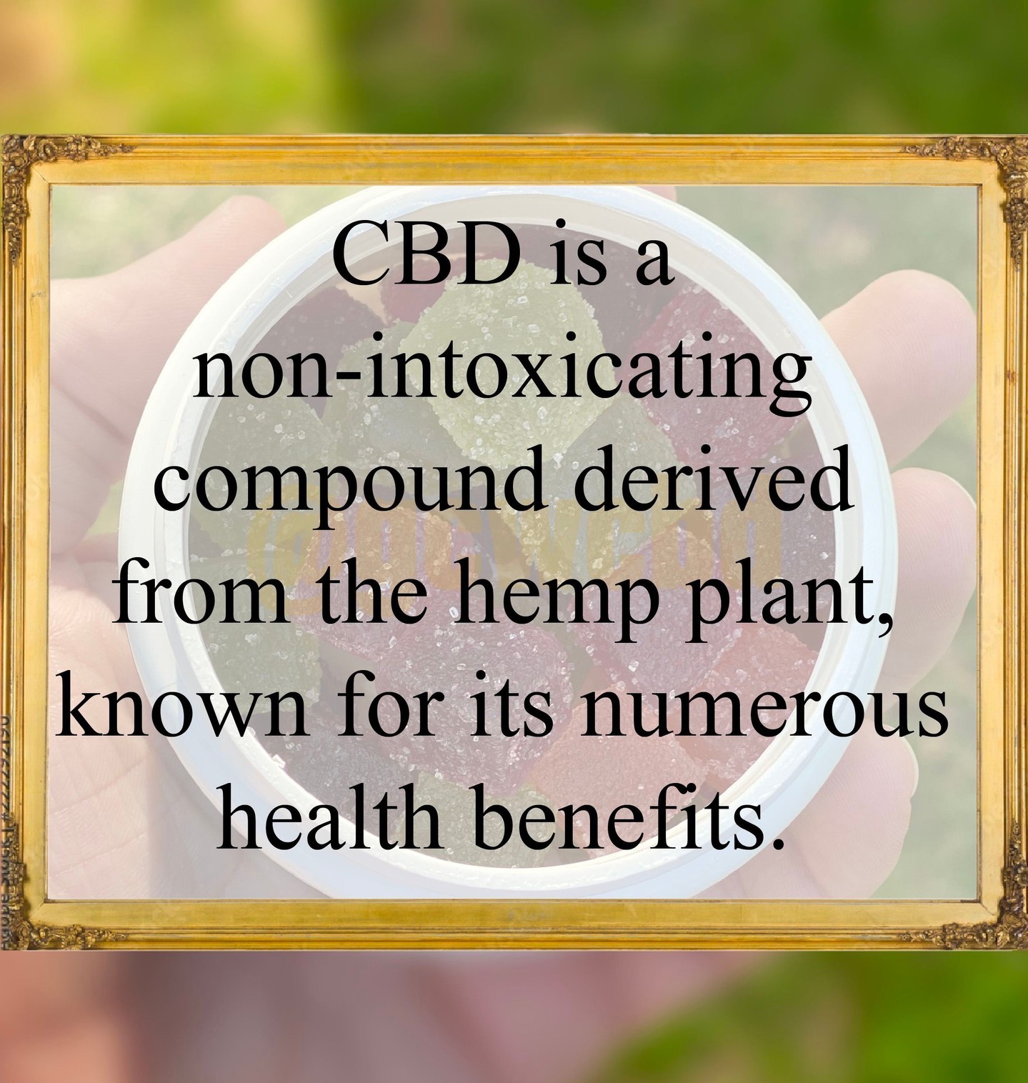 How much do you know about CBD? Checkout this fact!
#cbd #cbdfacts #fact #learn