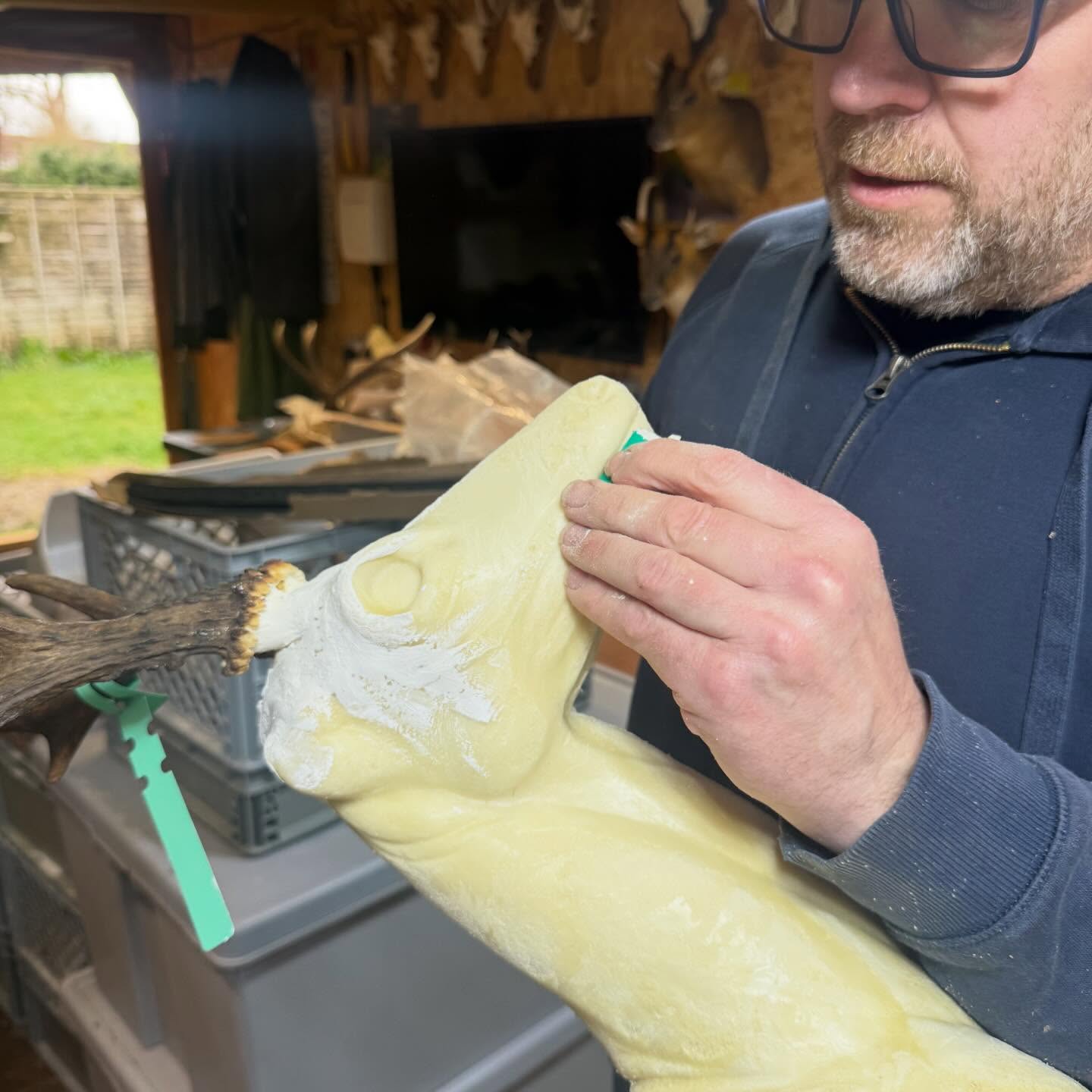 Had an amazing time at @lrmtaxidermy_paddy_mead's workshop today! Learned so much about game head taxidermy and watched Paddy expertly mount a roe deer. Really grateful for his valuable advice and insight into his techniques 👌🏻 Now, it's time to put my newfound knowledge into practice 😊
#taxidermy #gameheads #deer #roedeer #mammal