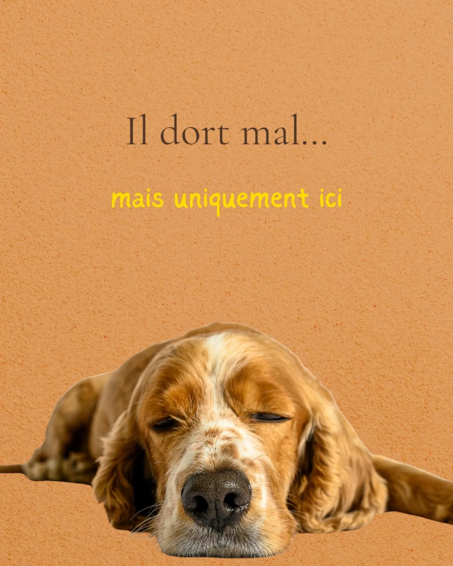 Il y a des phrases que j’entends souvent, et qui reviennent toujours avec la même fatigue en arrière-plan. “Il dort mal ici.” “Je dors mal depuis qu’on a emménagé.” “Mon enfant se réveille toutes les nuits.” “Mon chien ne se pose jamais vraiment.”
Très souvent, on cherche des explications rationnelles, parce que c’est rassurant, et parce que c’est ce qu’on nous a appris à faire. Le stress, la saison, la charge mentale, la période de vie. Et parfois, ces explications sont justes.
Mais le sommeil est un espace particulier. La nuit, le corps n’est plus occupé à tenir, à s’adapter, à répondre aux attentes. Le mental se met en veille, et ce qui reste, c’est le système nerveux, la sécurité intérieure, la capacité, ou non, à se déposer.
Les enfants et les animaux réagissent très vite à cela. Ils ne “prennent pas sur eux”, ils ne normalisent pas l’inconfort, ils bougent, ils veillent, ils signalent.
Parfois, le lieu lui-même joue un rôle, sans que ce soit grave, sans que ce soit effrayant. Juste parce qu’un espace peut porter des informations, des mémoires, ou des déséquilibres qui rendent le repos difficile.
Il ne s’agit pas de poser un diagnostic, ni de chercher une cause unique. Mais d’écouter ce que le corps exprime quand il n’a plus la possibilité de tricher.
Si tu as besoin d’aide, je peux t’aider à harmoniser le lieu de vie, commente “lieu” et je t’écris.