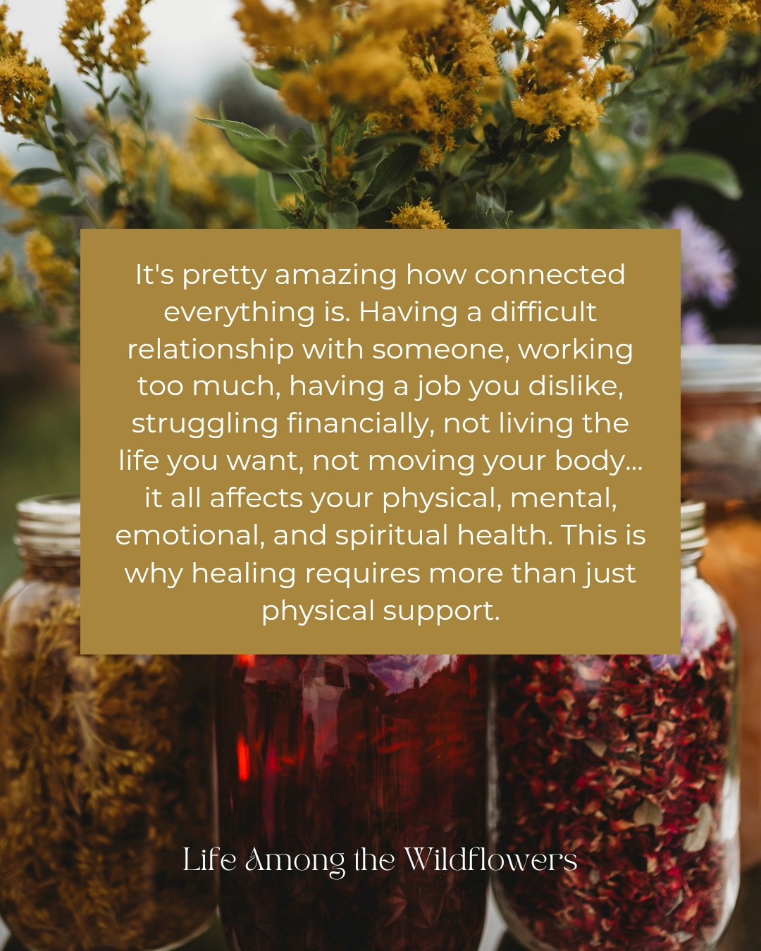 Posted this in my stories and quickly realized it deserved a permanent spot on my feed. π»π
#lifeamongthewildflowers #healing
