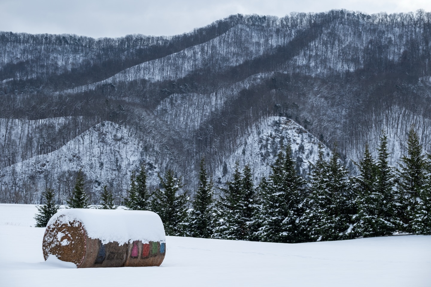 Hay bail and row of pines in Church Hill, TN covered in freshly fallen snow.
Camera: FujiFilm XT5
Lens: FujiFilm 50-140 f2.8
No filter
#fujifilmxt5 #fujifilmx_us #tennessee #snow #landscape