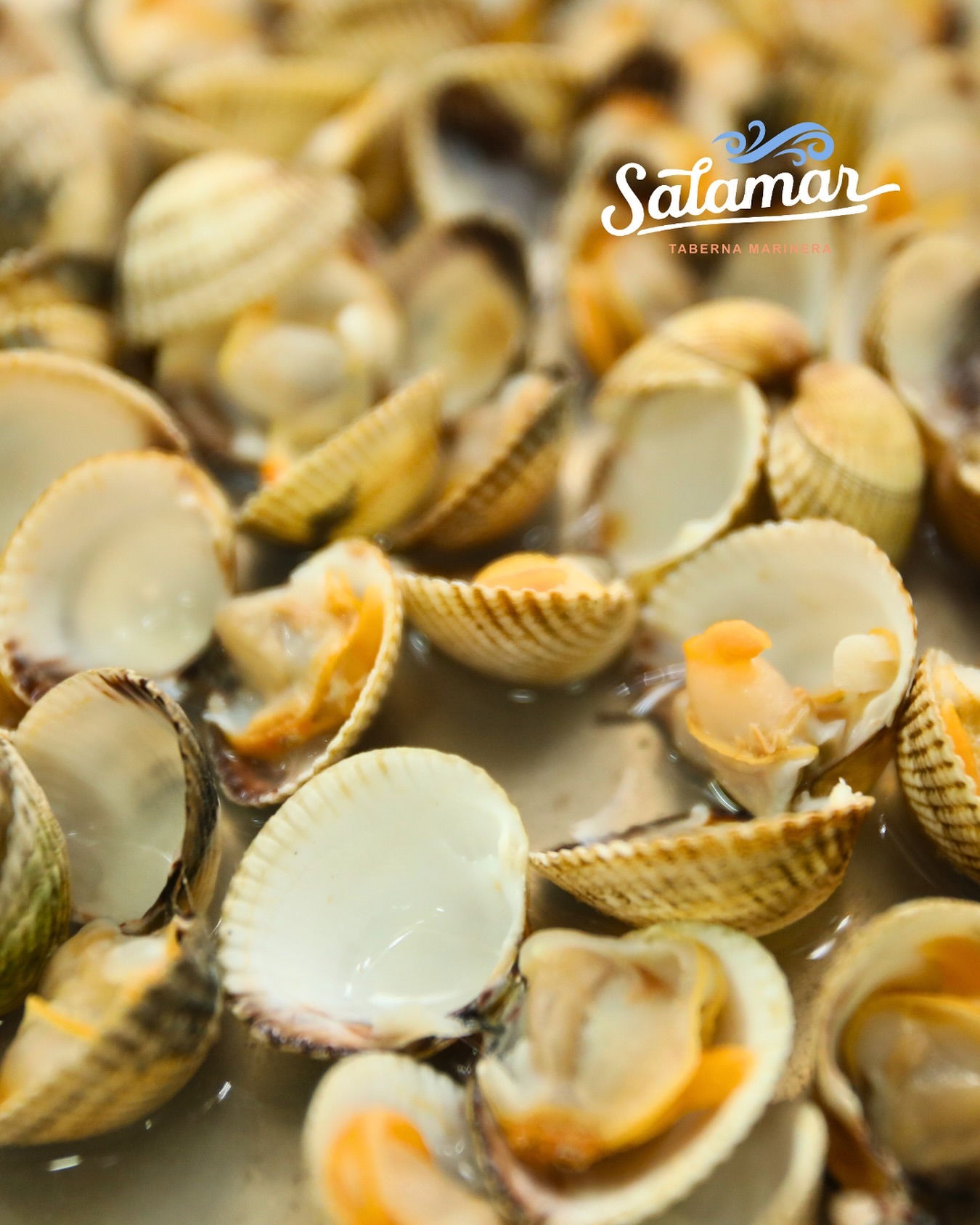 Tesoros del Mar 🤤 en Salamar! 🦐🐙🦞🍻
Reserva tu mesa en nuestra página web!
📍 Calle Cartagena 103. Madrid
#salamar #almejas #marisqueria #salamarmadrid #madridgourmet