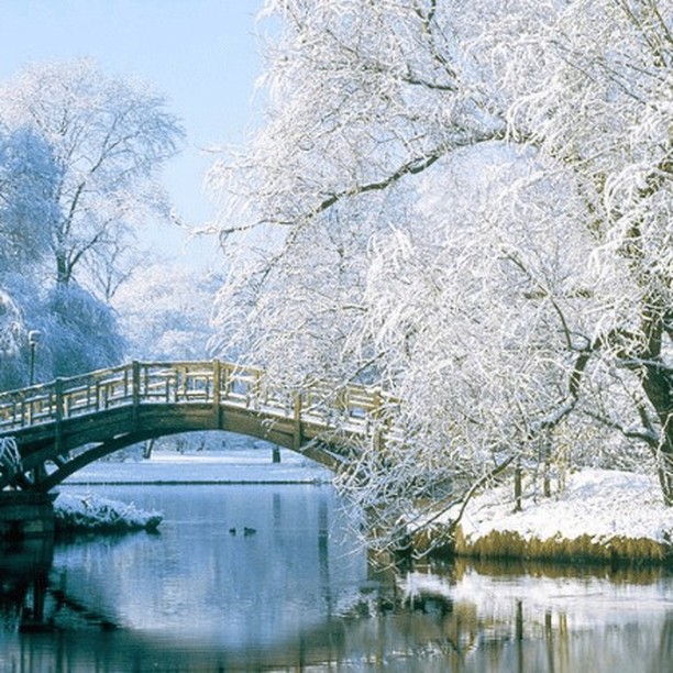 Bien vivre l'hiver avec la Médecine traditionnelle chinoise
L’hiver est la saison du changement, celle qui laisse place au froid, aux batailles de boules de neige, aux festivités et aux chocolats chauds autour de la cheminée. Associée au Yin en médecine traditionnelle chinoise, cette saison renvoie surtout à l’obscurité et la glace. Durant l’hiver, notre corps est soumis à de rudes épreuves tant psychologiquement que physiquement. Alors quels sont les conseils de la MTC pour bien vivre cette saison ?
Dans cet article nous abordons :
🎄-Le Rein, organe de l’hiver
❄-Les énergies pathogènes de l’hiver
🌿-Les plantes : l’alliée contre les agressions extérieures
🍵-Une bonne alimentation pour une bonne résistance
🧘🏻-Un repos bien mérité
suivez le lien 👇
https://www.aucreuxdessens.fr/post/bien-vivre-l-hiver-avec-la-médecine-traditionnelle-chinoise