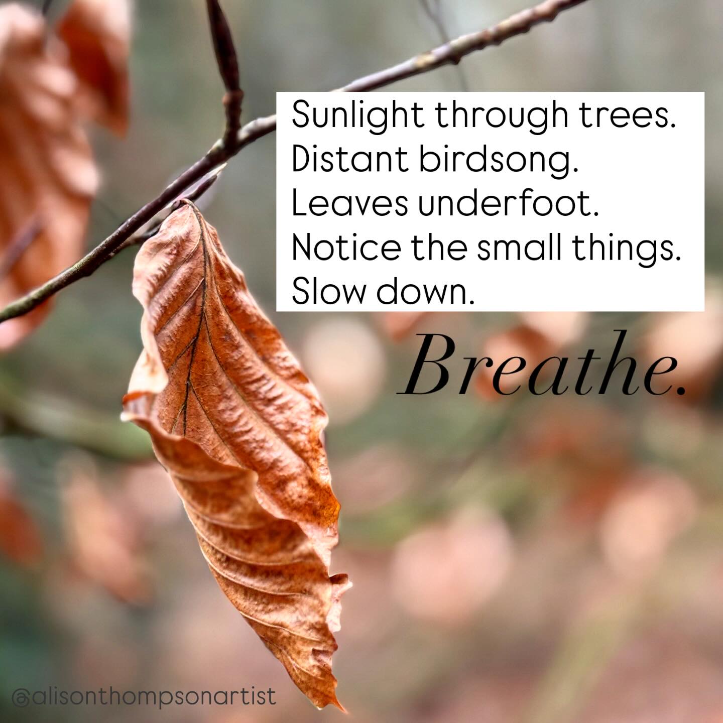 A day out today walking through nature. There were glimmers everywhere. Leaves, sticks, the most beautiful sunlight and patterns in the sand. So much to be thankful for 🩷
#glimmers #happyplace #stresslesscraftmore #nature #norfolk