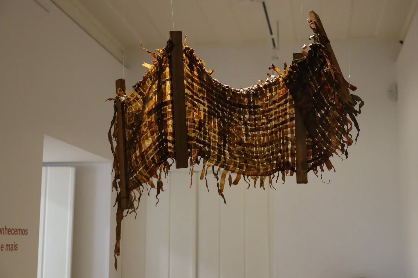 Intra/Form
Year:2025,
Medium: Eggshell, soil, alginate and beeswax
Dimensions: 35x25 x5cm
Quiet Tension
Year:2026
Medium: kelp and wood
Dimensions: 150x60x5 cm
Quiet Tension n°2
Year:2026
Medium: kelp and talagarça
Dimensions: 40x11x1cm
Saccorhiza polyschides ( Lightfoot) lamp
Year: 2025,
Medium: kelp, wood
Dimensions: 20x15x11cm
Artist bio:
Joana Alarcão is a Portuguese transdisciplinary eco-artist, curator, researcher, and podcast host who works predominantly within the concepts of social, political and environmental justice.
Her studio practice is a deep investigation into material agency and ecological consciousness. Using natural paints, charcoal, clay and experimental biomaterials, Alarcão develops sculptures, installations, and paintings that challenge conventional artistic narratives. Her work explores the complex intersections of human and non-human agencies, with the human body remaining a central narrative thread in her work, serving as a critical lens to examine modern slavery, climate crisis refugees, and contemporary political atmospheres. Through her sculptures and installations, Alarcão also explores the physicality of human experience, investigating how bodies interact with and are shaped by environmental and social contexts.
Pieces exhibited at Nature Doesn't Draw Straight Lines at Galeria Municipal Jovem, Vila Franca de Xira
Photos by: @plantextile and @_pamoru