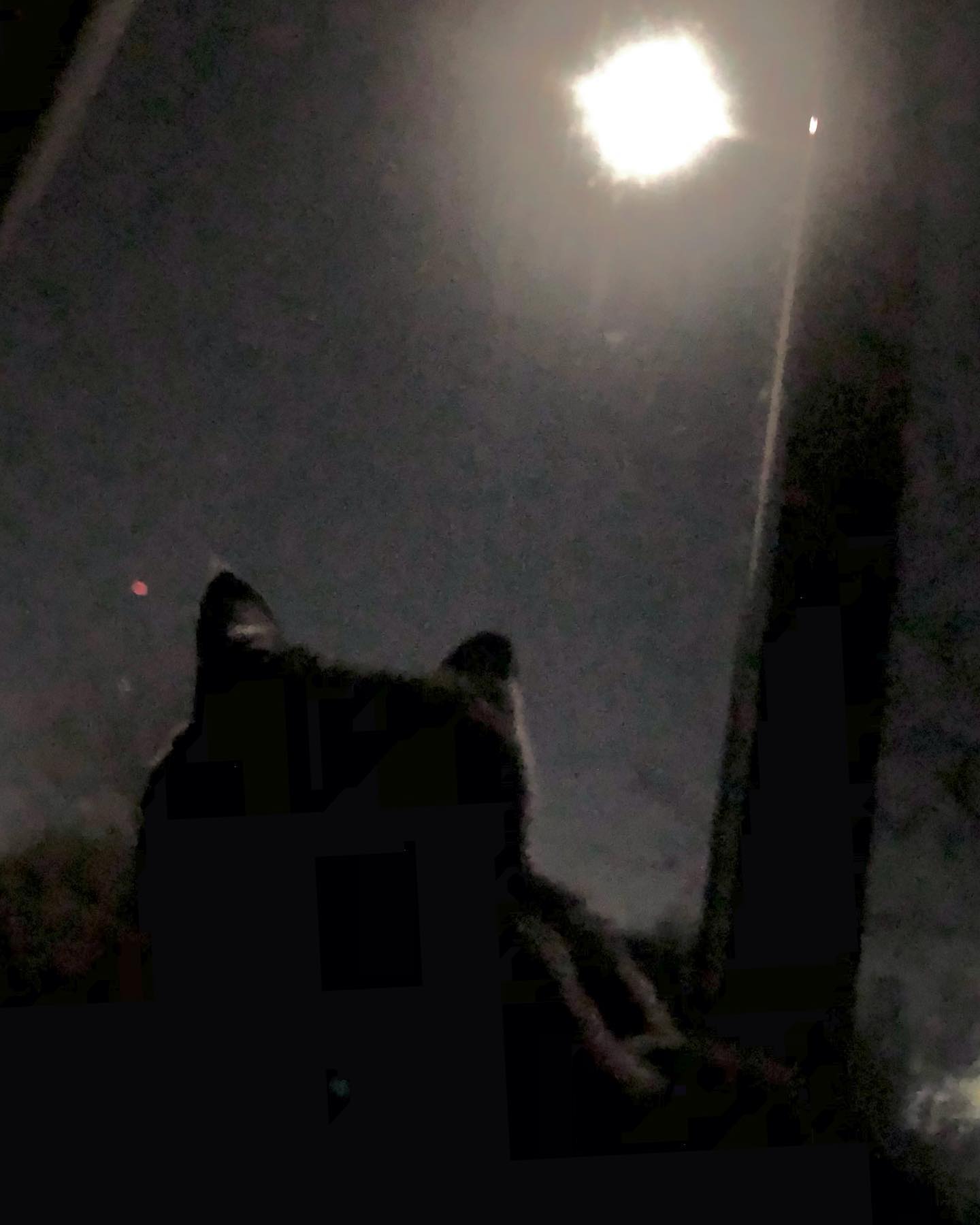 We’re talking about unsubscribing today.
From …
Emails
Fears
Junk
You’re gonna have to go read the whole thing on my blog because I’m not gonna extract the highlights for IG’s caption limit.
But if you can’t be bothered, the take away is an order to send your workaholic amygdala on a seaside vaca and start making some better business practices with your PFC.
Happy New Year, goobers!