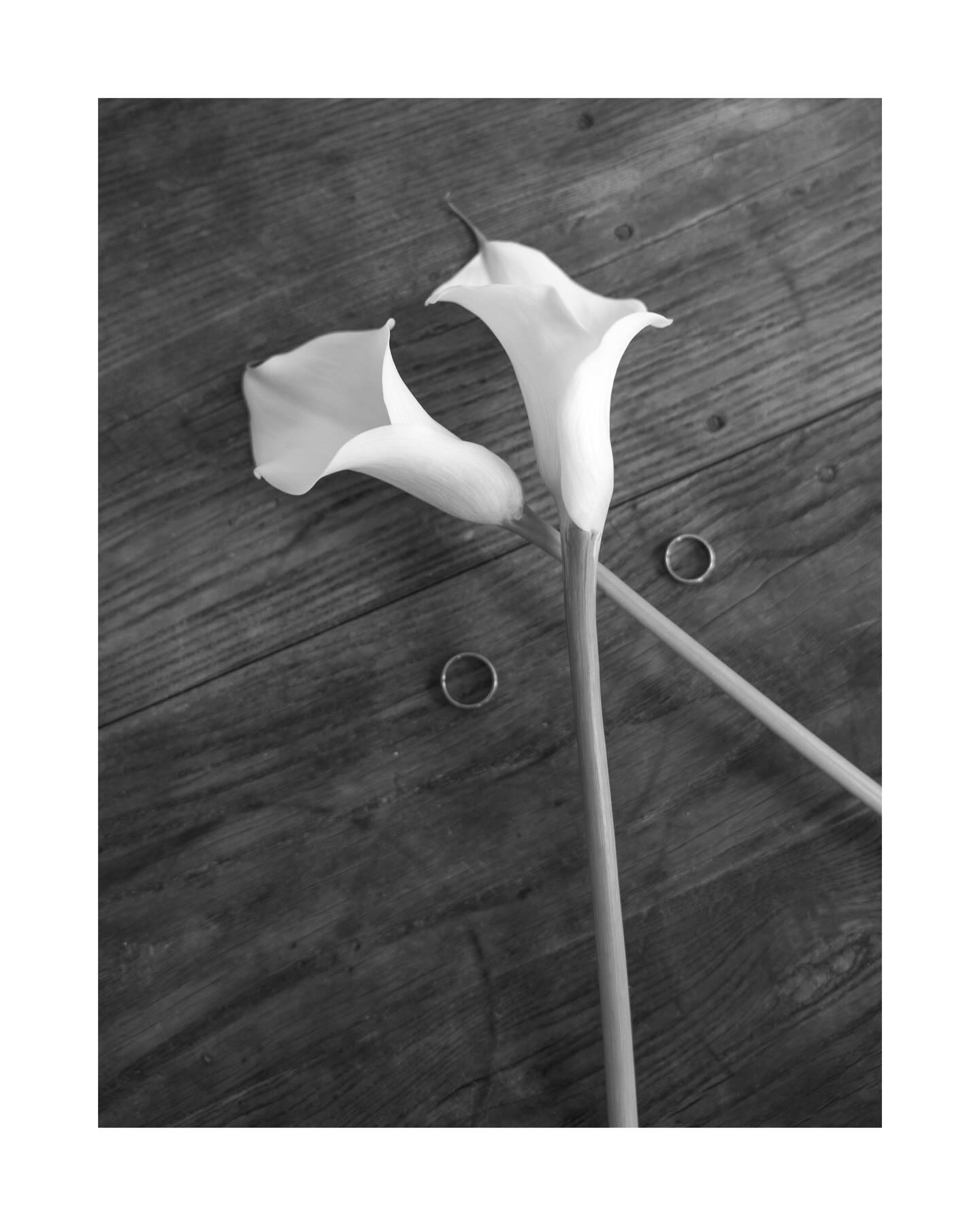 Manchmal sind es nicht die lauten Momente, die unser Leben verändern. Sondern die leisen. Die, in denen nichts erklärt werden muss, weil das Herz längst verstanden hat.
Diese Hochzeit erzählt genau davon. Von Ruhe. Von Nähe. Von einem tiefen Ja zueinander, das nicht laut sein muss, um kraftvoll zu wirken.
Das sanfte Morgenlicht, das Kleid, das still am Fenster hängt. Hände, die Stoff berühren. Blicke, die bleiben. Alles durfte sein, nichts musste inszeniert werden.
Das @landhaus_flottbek sowie das angrenzende @hygge_hamburg hat diesen Tag getragen wie ein leiser Rahmen. Zurückhaltend, elegant, warm. Ein Ort, der Raum gibt und Vertrauen schenkt. Gemeinsam mit fein aufeinander abgestimmten Dienstleistern, die @foreverafter.wedding aufeinander abgestimmt hat, entstand ein stimmiges Gesamtkonzept, das den Tag ruhig, klar und wohlwollend beginnen ließ.
Als Hochzeitsfotograf in Hamburg begleite ich Paare, die sich genau das wünschen: Eine emotionale Hochzeitsreportage, die nicht laut ist. Eine moderne Hochzeitsfotografie, die Tiefe zeigt. Und Bilder, die nicht nur erinnern, sondern euch fühlen lassen, wie besonders euer Tag wirklich gewesen ist.
Wenn du dich in diesen Bildern wiederfindest und dir eine Hochzeit wünschst, die leise beginnt und tief berührt, dann freue ich mich, von euch zu lesen.
Schreibt mir gern oder schaut auf meiner Website vorbei.
Vielleicht dürfen wir ein Stück eures Weges gemeinsam gehen…es wäre mir eine wahre Freude 😊🫶🏼
#hochzeitsfotografhamburg
#hochzeitsfotografiehamburg
#hochzeitsreportage
#hochzeitinhamburg
#hamburghochzeit
Konzept/ Planung: @foreverafter.wedding
Mitorganisatoren: @jaronkwast.photography, @sabrinas_perspektiven
Fotografie: @jaronkwast.photography
Location: @hygge_hamburg @landhaus_flottbek
Floristik: @blumengraaf
Dekoration: @nellimeng.weddings
Papeterie: @presso.studio
Brautschmuck: @sternenauge_official
Stylistin: @die_schoenmacherin_anett_jones
Models: @pia.portfolio @sammyaliev
Brautmode: @dearbride.de
Tiramisu: @tiramisubar.hh