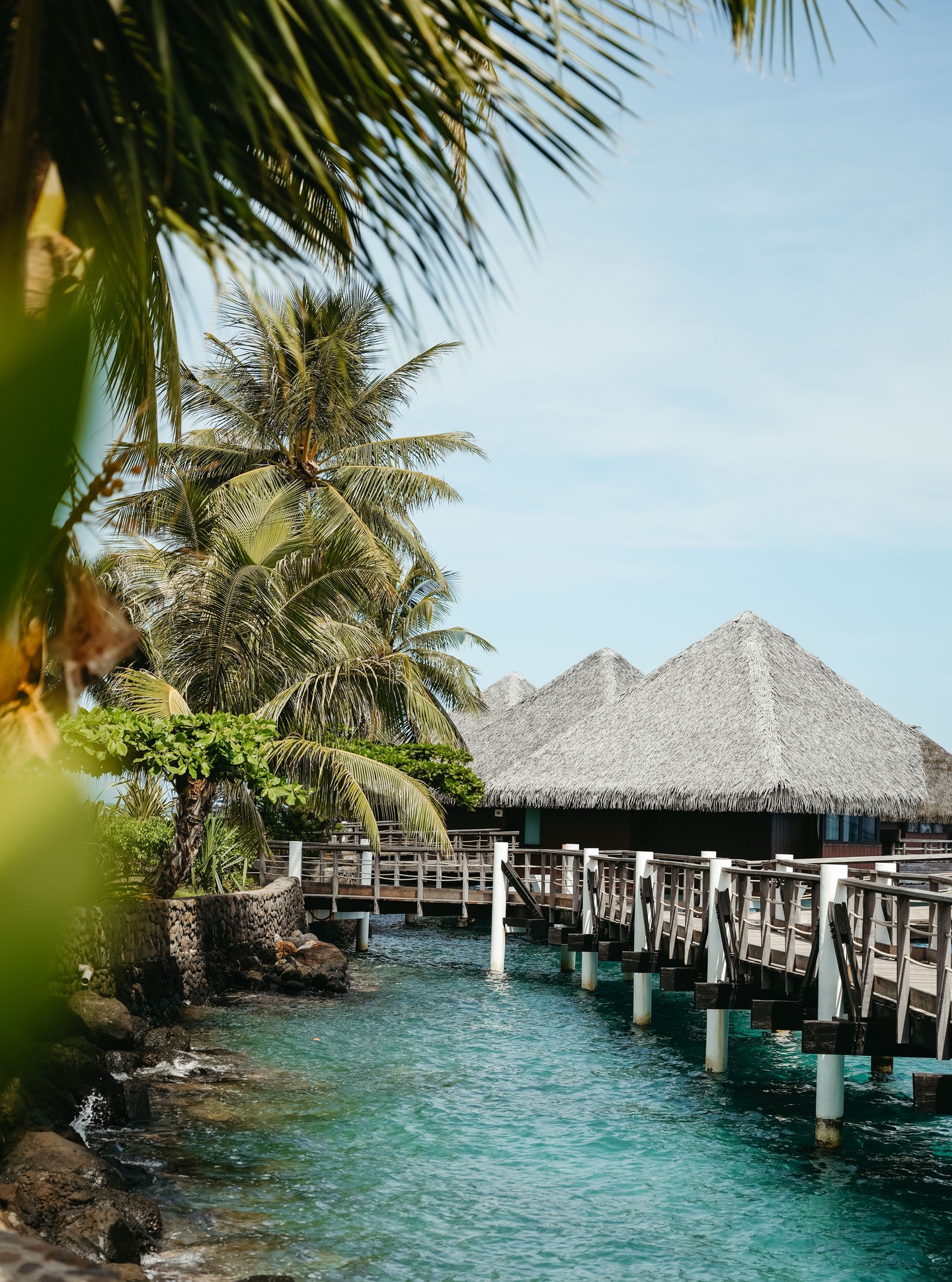 Donde cada pasarela lleva a la calma.
Bienvenidos al ritmo suave de la Polinesia Francesa.
.
Where every walkway leads to serenity.
Welcome to the gentle rhythm of French Polynesia.
📷 @emmatournier_ | @ic_tahiti
#MoemoeaTravel #PolinesiaFrancesa #FrenchPolynesia #IslandLife #LagoonViews #SlowLuxury #ParadiseFound #OverwaterBungalows #MoemoeaExperience #LoveTahiti