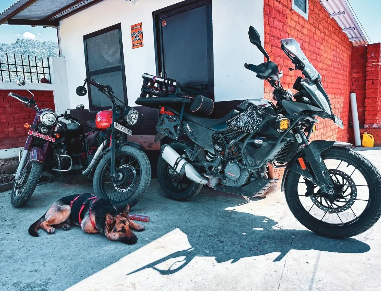The dog with the underdogs 😍🤘🏻
#bikersofinstagram #bikersofindia #home #garage #thebestpeoplearound #travelgram #whyweride #bikersforgood #thebikerpreneur #motorcyclesofinstagram #Raazdaar #thevillagelife #GraminBikers