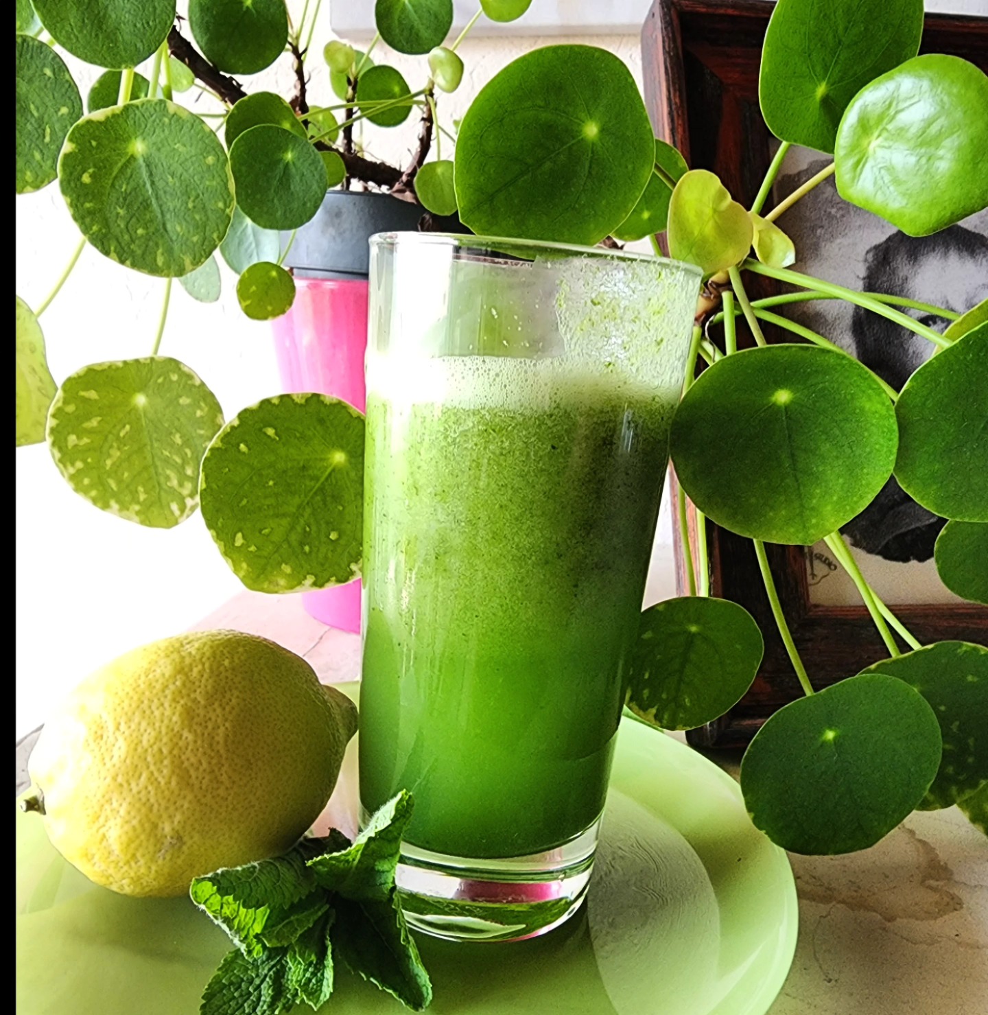 🥒🍋 Freshness in a Glass! 🌿✨
I will share my recipe below
Feeling hot and thirsty? Look no further! 🥤💦 My all-time favourite drink is none other than refreshing Cucumber Lemonade! 🥒🍋💚 The perfect blend of coolness and tang, this delightful concoction never fails to rejuvenate my senses on a hot summer day. 🌞✨
But wait, there's more! Let me share with you some amazing health benefits of cucumber 🥒 that make this drink even more remarkable:
1️⃣ Hydration: Cucumbers are about 95% water, making them an excellent source of hydration. Stay refreshed and quench your thirst naturally!
2️⃣ Nutrient-rich: Cucumbers are packed with vitamins (like vitamin K, vitamin C, and potassium) and minerals that contribute to overall health and well-being.
3️⃣ Weight management: Low in calories and high in fiber, cucumbers are a fantastic addition to any weight-conscious diet. They help you feel fuller for longer, supporting your weight management goals.
4️⃣ Healthy skin: Cucumbers are known for their skin-loving properties. They contain silica, which promotes collagen production, contributing to healthy and radiant skin.
So, grab a glass, and let's raise a toast to this cooling elixir! 🥂💚 Sip on the goodness of nature and feel revitalized. Share your love for Cucumber Lemonade in the comments below! 👇✨
#CucumberLemonade #RefreshingBeverage #StayHydrated #HealthySips #SummerDelight #NaturalGoodness #CoolingElixir #HealthBenefits #ThirstQuencher
Recipe:
Boil 1 cup of water with 1 cup of sugar until dissolved.
Blend the following in a blender:
2 x large cucumbers (top & tail) cut into large chunks - keep the skin on
Juice of 2 lemons
a handful of mint leaves
2 cups of ice blocks
4/5 cups of ice water - add more to taste if you like.
Add the sugar water - stir well and serve 🙂
