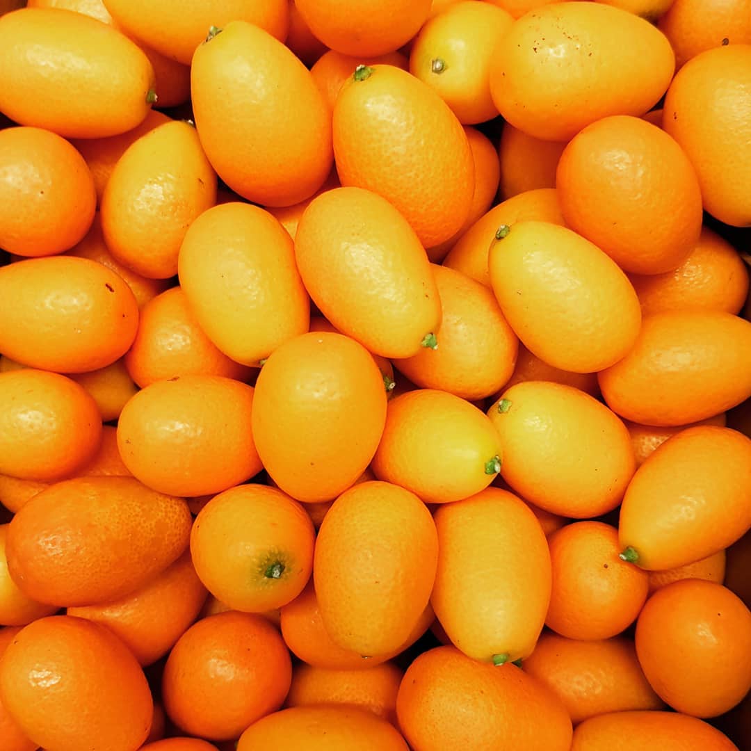 #kumquat #kumquats #citrus #wholesale #hamburg #healthy #healthyfood #food #fruit #fruits #foodblogger #foodie #foodporn #fruitarian #fruitporn #orange #sweet #sour #germany #spain #españa #spanien #malaga