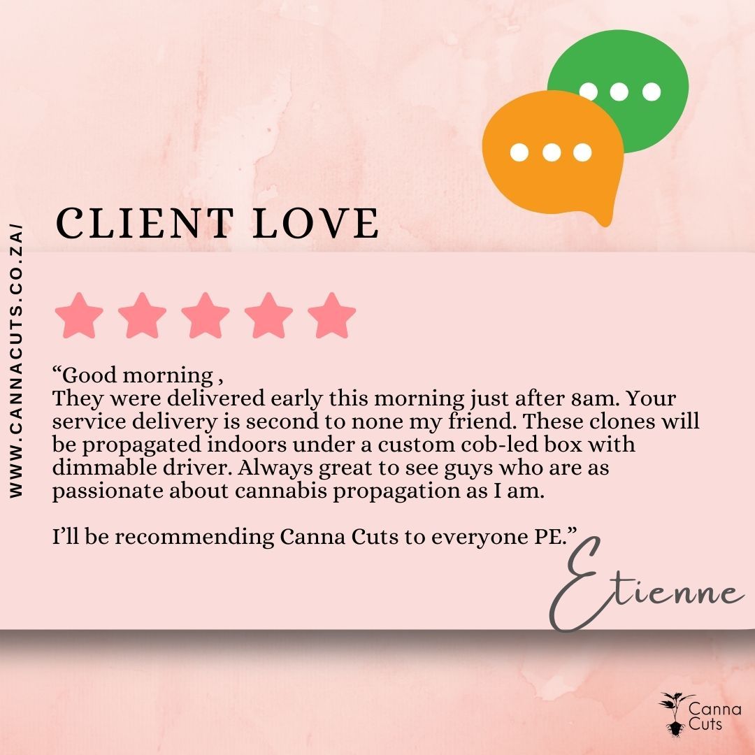 There is nothing better than some client love. Getting feedback like this makes all the effort worth it.
When you buy clones from Canna Cuts, know that you will get what you expected. Worst case, you will get your money back!
Clones and great service available @ www.cannacuts.co.za