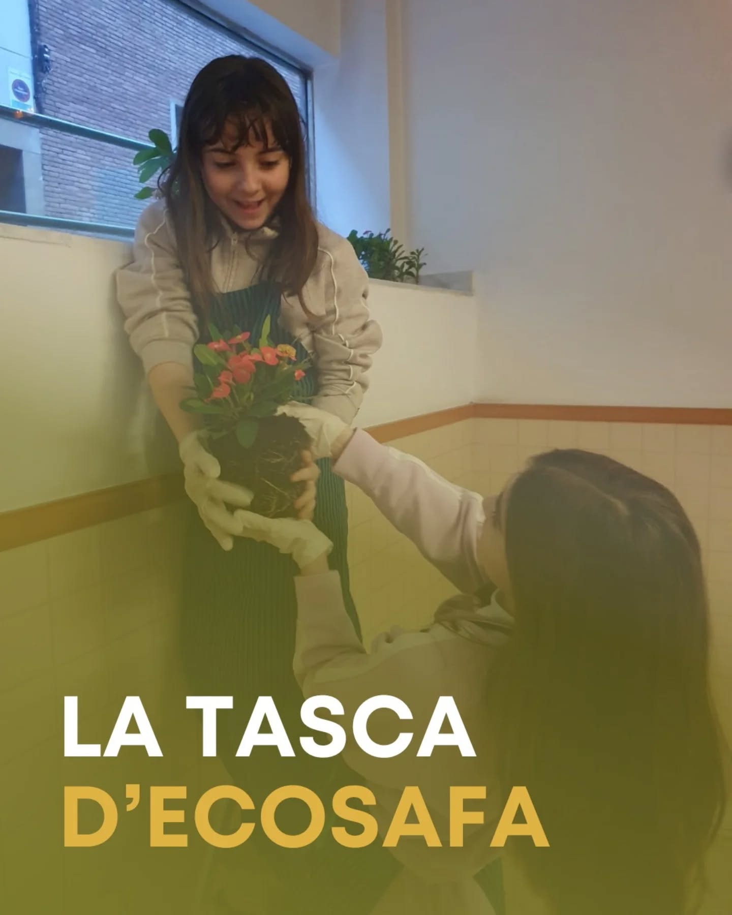 Recentment, el grup d'#EcoSAFA ha rehabilitat algunes jardineres de l'escola 🪴 Han transplantat plantes a llocs més adequats, han remogut la terra, han plantat plantes noves i han regat 💧
Gràcies a la seva tasca, l'escola cada dia llueix més bonica! 🌱✨