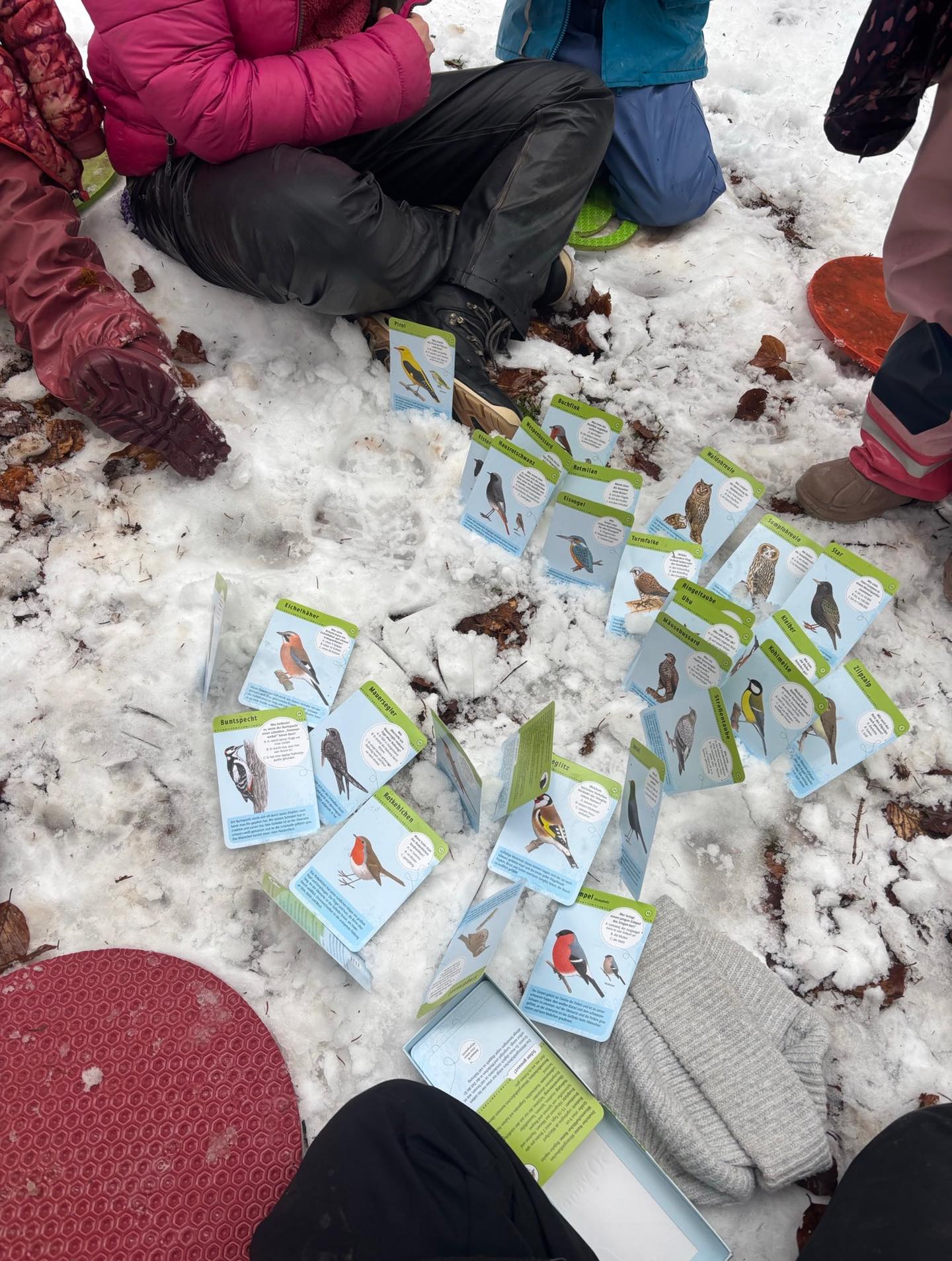 In der Vorschule haben wir letzte Woche Vögel beobachtet🪶. Ganz still haben wir auf sie gewartet, um sie dann bestimmen zu können.🦉🦅