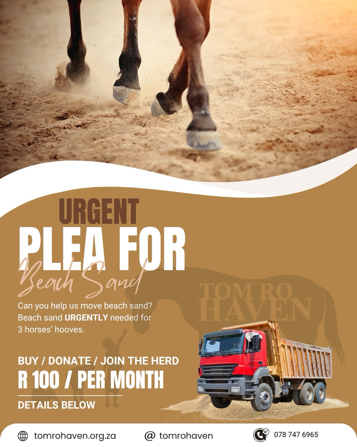 We urgently need help for Dreamer, Strawberry and Flash 🐴🐴🐴
All three are struggling with serious hoof issues, and our farrier has advised that a beach-sand type environment is vital to support healing and comfort.
We have permission to collect sand from the Glencairn beach area — but we urgently need access to a large bakkie or truck to transport the sand to the farm.
🚜 If you have a suitable vehicle and can help, or know someone who can, please DM us.
This is time-sensitive, and your help could make a real difference to their comfort and recovery.
Thank you for always showing up for our horses 💛
#TomRoHaven #UrgentAppeal #RescueHorses #HoofCare #CommunityHelp SouthAfrica Glencairn EveryHorseMatters