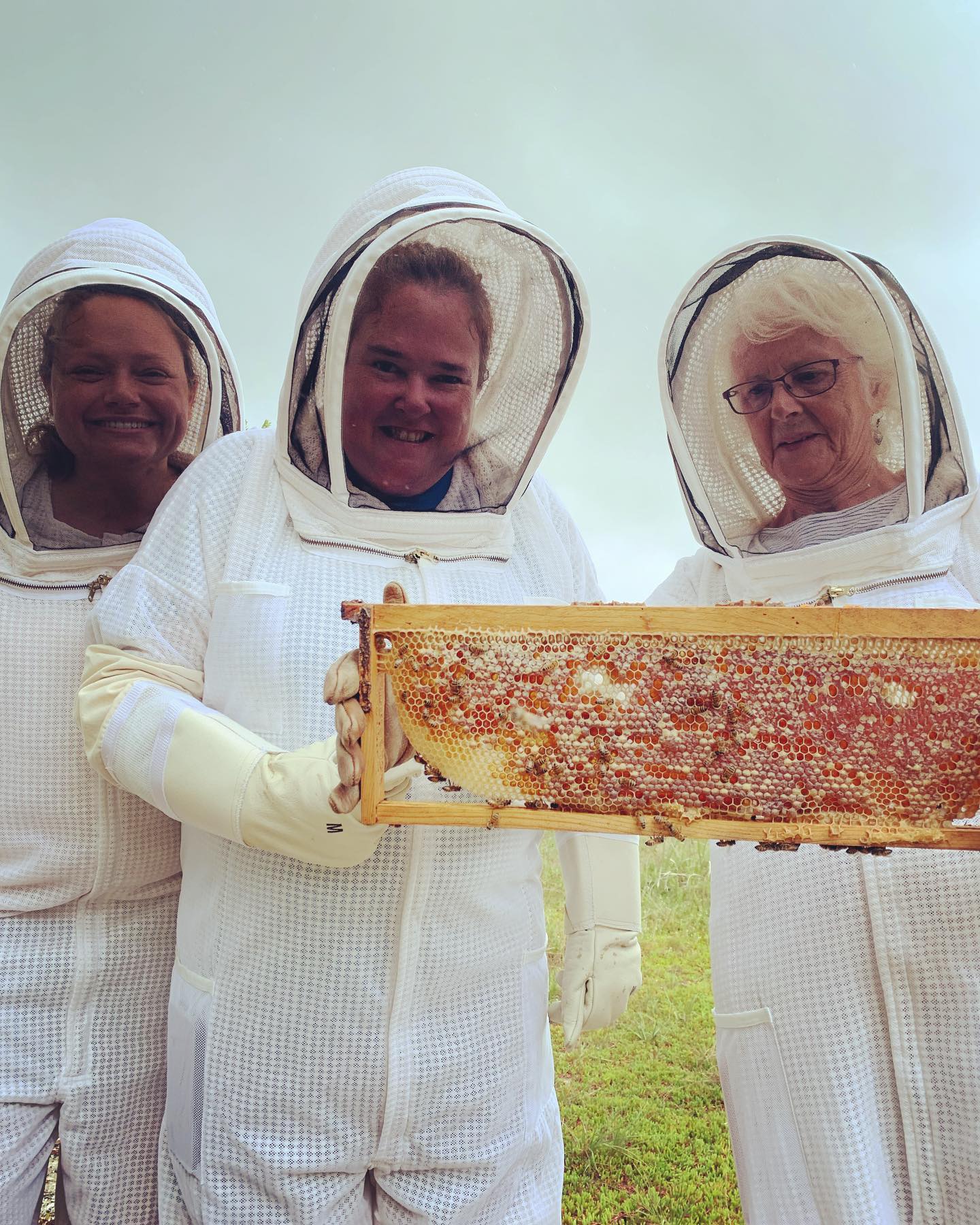 Back on our #beetours to start the season 🐝🍯 #honey #beekeeping #beekeepers #local #experience #grandcayman #caymanislands