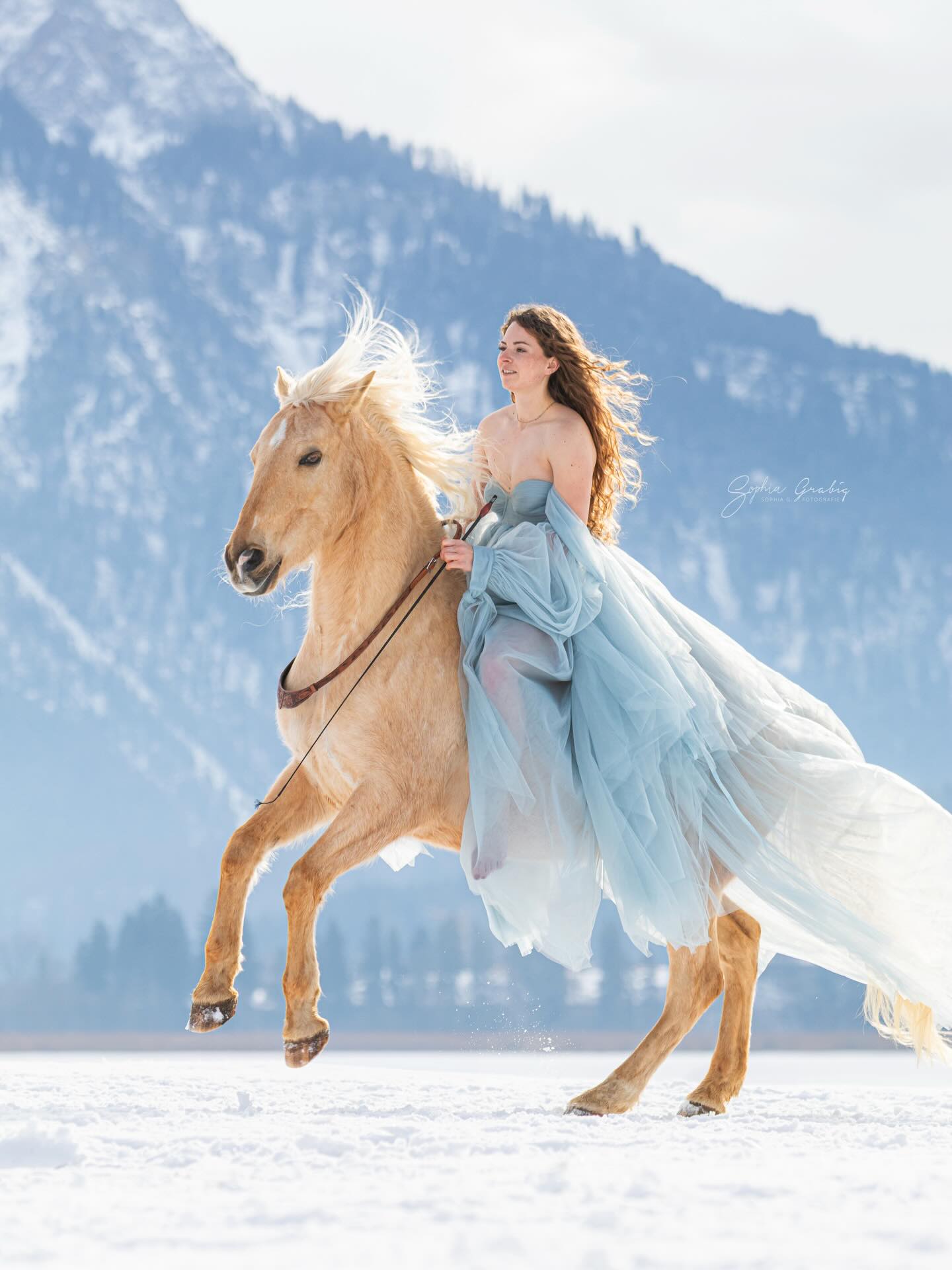 Wie fühlt sich eigentlich Vertrauen an?
•
Darüber habe ich mir in letzter Zeit Gedanken gemacht, da einige Leute kommentieren oder mir privat schreiben was für ein Wahnsinns Gefühl das sein muss so ein Vertrauen zu seinem Tier zu haben. Aber ist dieses Gefühl wirklich so intensiv? Naja sagen wir’s mal so:
Vertrauen ist kein lautes Gefühl.
Es schlägt keine Purzelbäume im Bauch und macht keinen Lärm.
Vertrauen ist leise.
Es fühlt sich an wie Sicherheit.
Wie Geborgenheit.
Wie ein tiefes Ausatmen.
Es ist nicht das Kribbeln des Verliebtseins,
sondern das Ankommen danach.
Wenn man nichts beweisen muss.
Wenn man einfach sein darf.
Vertrauen fühlt sich an wie zu Hause.
Warm. Still. Beständig. 🤍
•••••
Foto von @sophiagfotografie