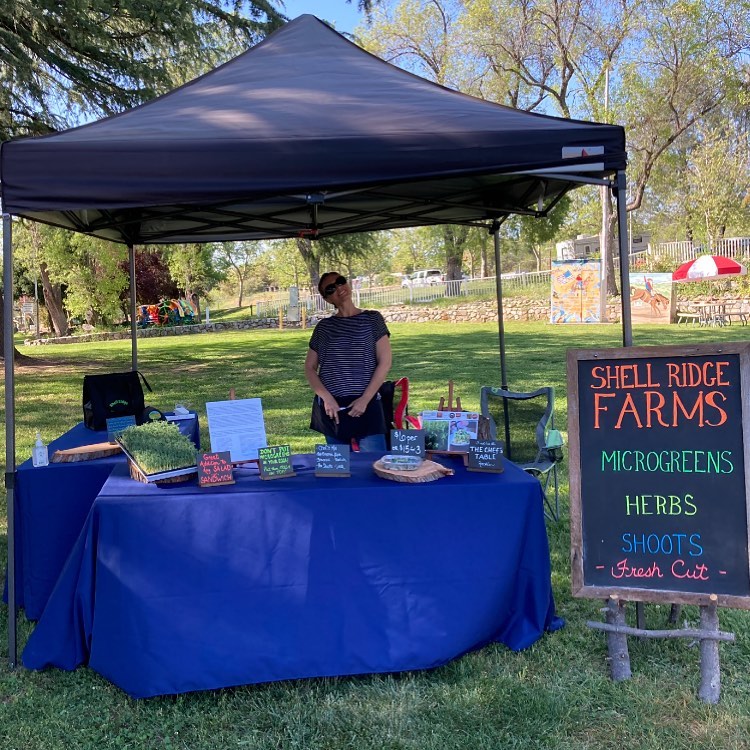 Come find us this evening at the Gold Country Farmers Market in Auburn. 4-8pm. 🌱🤙
-
-
-
-
#placergrown #urbanfarming #hydroponics #verticalfarming #knowyourfarmer #cagrown #freshfood #healthyfood #urbanfarmer #mixedgreens #leafygreens #microgreens #nongmo #planthealth #indoorfarming #aeroponics #growsomeleafys #growsomemicros #shellridgefarms #localfarmers #nutrientdense