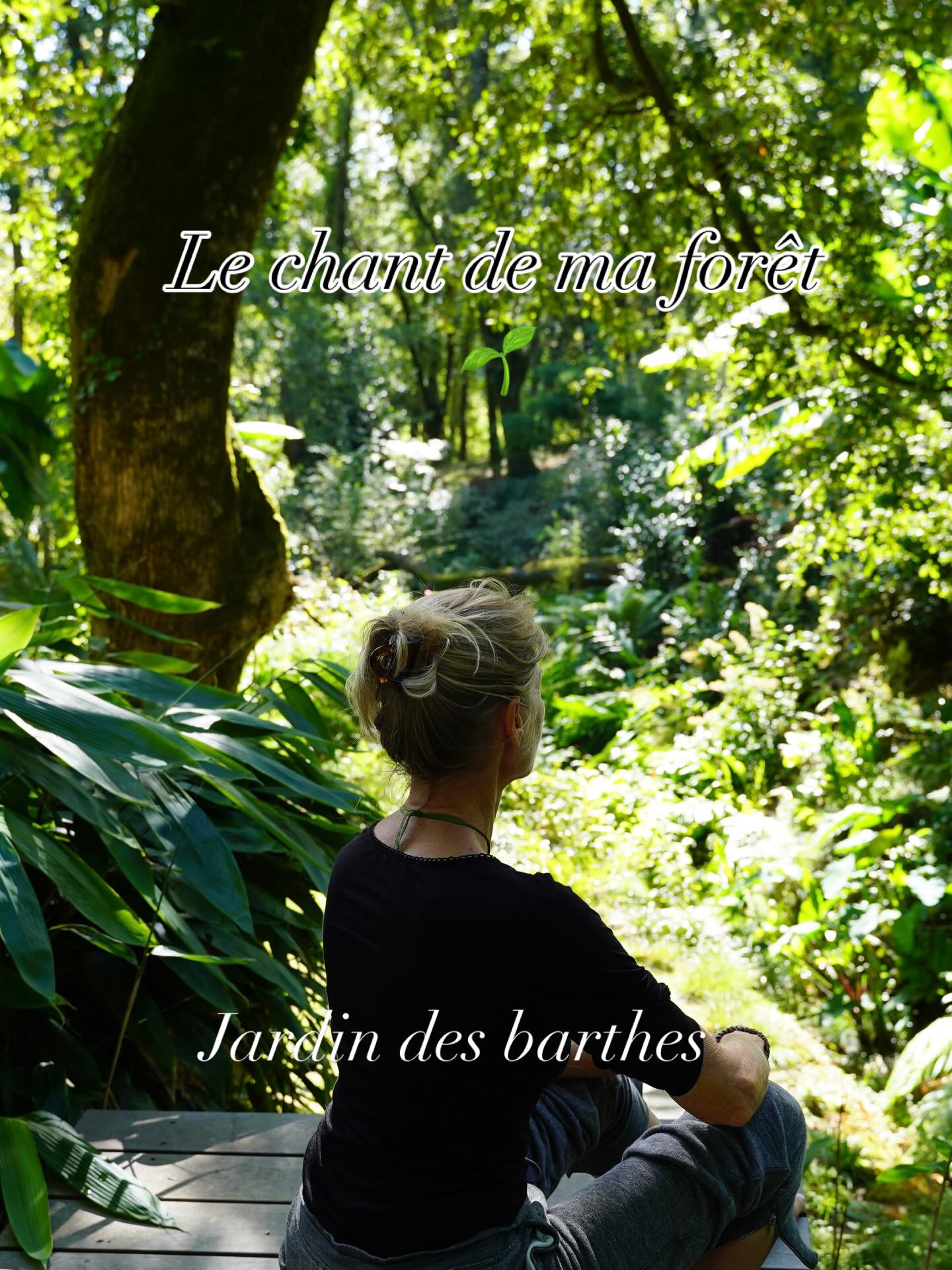 J’ai cette chance inouïe de jardiner chaque jour dans canopée, une forêt landaise devenue une jungle jardin
🌱j’ai choisi cette vie c’est celle que je voulais vraiment : créer et entretenir un très grand jardin
Je l’ai fait : le jardin des barthes
🌱canopée est un des 8 jardins devenu une petite jungle créé sous des arbres séculaires d’essences communes dans les landes : chênes châtaigniers platanes aulnes et merisiers
🌱c’est grâce à leur ombrage, à la bulle humide qu’ils créent ainsi qu’à la couche d’humus qu’ils ont déposé depuis des siècles que les plantes poussent à toute vitesse
Du haut du grand escalier je contemple les grands arbres, la végétation tropicale et écoute les chants de la nature
🌱le vent les oiseaux et tout le vivant
🌱ce lourd travail est récompensé au centuple
Et vaut toutes les méditations de la planète
Jardin des barthes classé remarquable
Un des plus beau jardin de France a visiter dès avril 15mn d’ Hossegor 30mn de Biarritz #forêt #jungle #naturelover #gardenlove #meditation