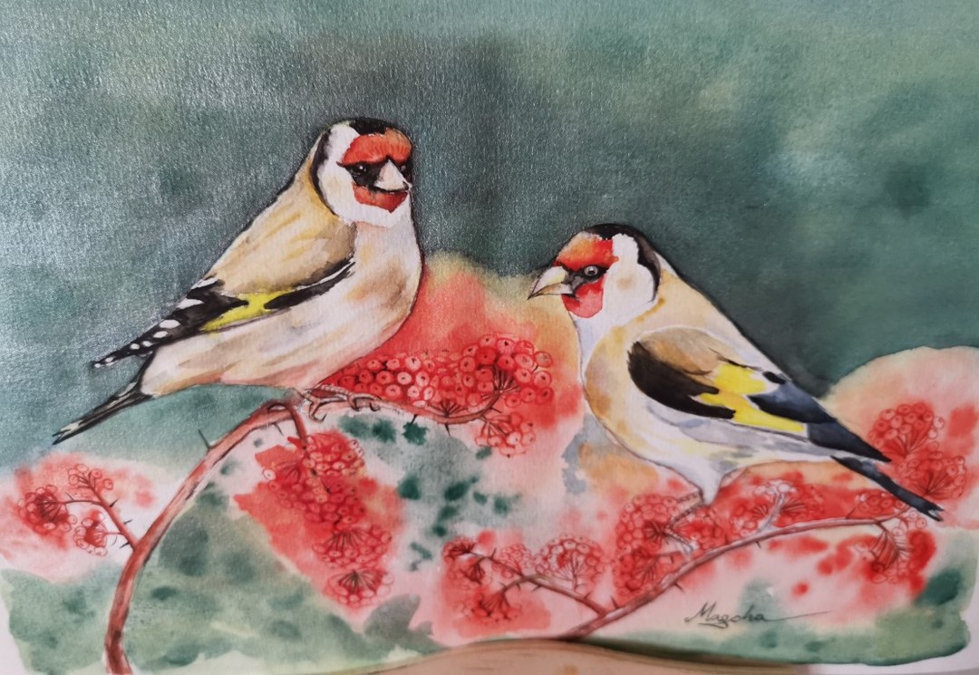 Aquarelle avec les petits oiseaux.
Bon week end😊
สุขสันต์วันหยุดแด่ชาวแกงค์สีน้ำของเรา
#watercolor
#painting
#birdpainting
#europeangoldfinch