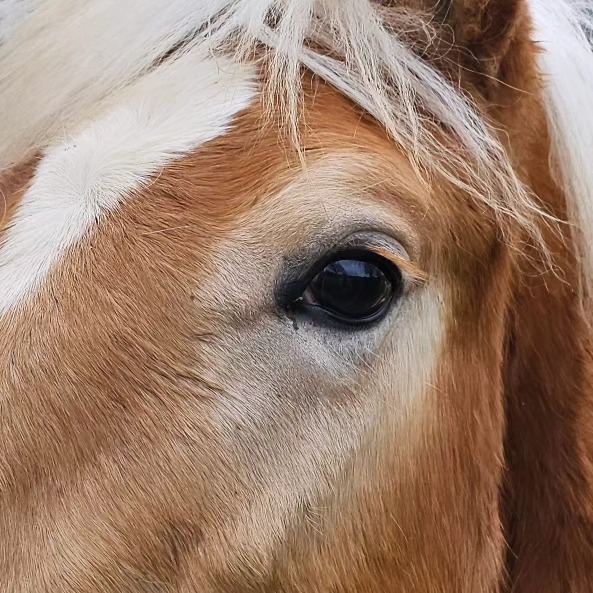 We see you!
Norfolk Comms also provides reassuring security systems for your home, holiday let, business or farm.
You can see your security camera's with a quick tap on your mobile phone, giving you peace of mind wherever you are!
Find out more at www.norfolk.comms.com
#security #securitysystem #peaceofmind #camera #iseeyou #northnorfolk #northnorfolkhomes #observe #reassurance #farms #norfolkfarms #caravanlife #aylsham #holt #cromer #sheringham #overstrand #northwalsham #dereham #norfolkpassport #enjoynorfolk #norwich