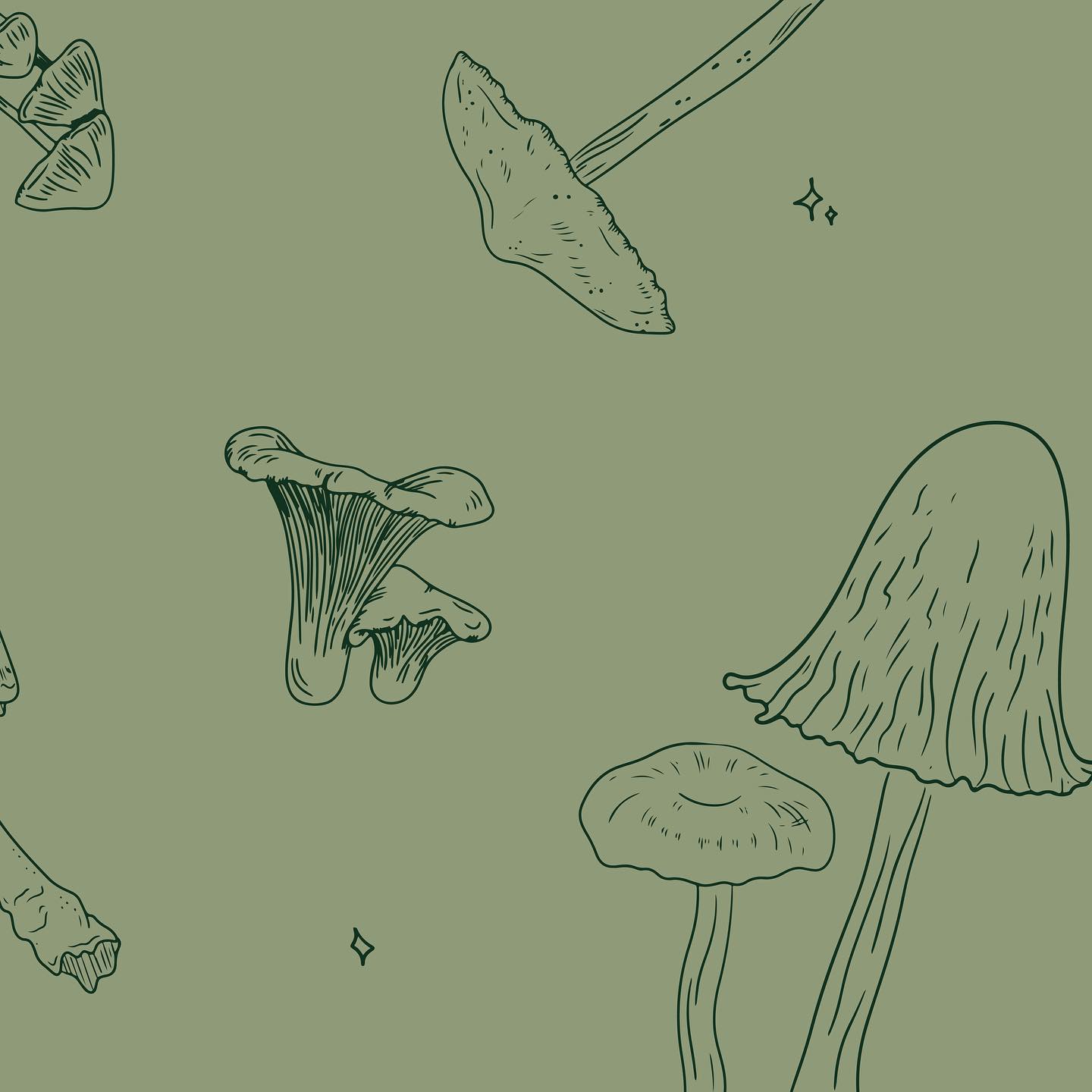 CI for an Austrian based company producing Mushroom Grow Kits 🍄
#CI #corporateidentity #logodesigns #colorpalette #illustration #typeface #mushroom #growkit #oystermushroom #pilz #logo #logotype #logoinspiration #logomaker #design #graphicdesign