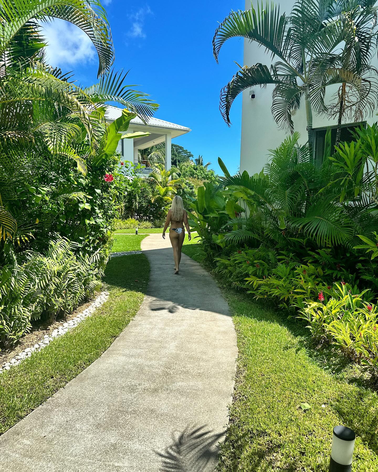 Afternoon walk through our luscious green garden
#seychelles #nature #garden