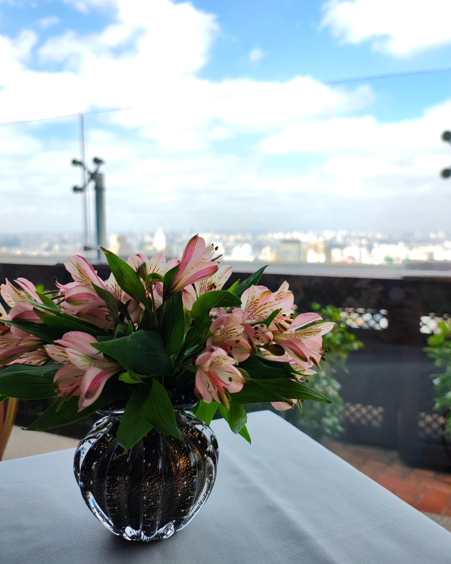 ♥️ São Paulo até que é linda, vista bem de cima.
Porque quem nasce no Rio é carioca 😜