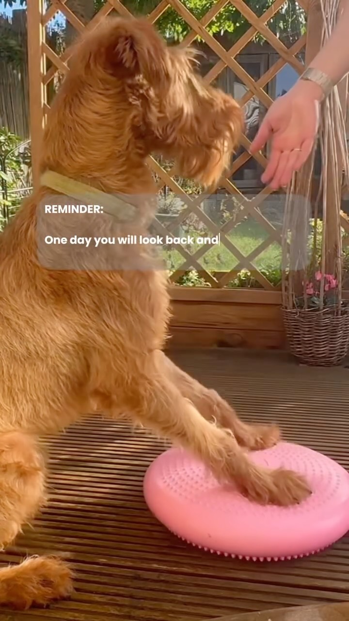 Has your dog been recovering from an injury, or surgical procedure?
Sometimes the recovery stage feels very overwhelming or disheartening if you hit any bumps in the road, but if you keep going, even those small steps will be so worth it in the long run.
Remember, you are not alone in this!
Here at Furapy, we are here to help you. Any questions or concerns we can help you achieve the best out of your pet’s recovery.
Every dog is different, and we are experts at getting your dog back on track in a way that suits both you and their lifestyles.
Want to talk about your pet? Give us a call, message us or book an appointment with us today ⬇️
Info@furapy.uk
07702082602
Www.furapy.uk 🐾