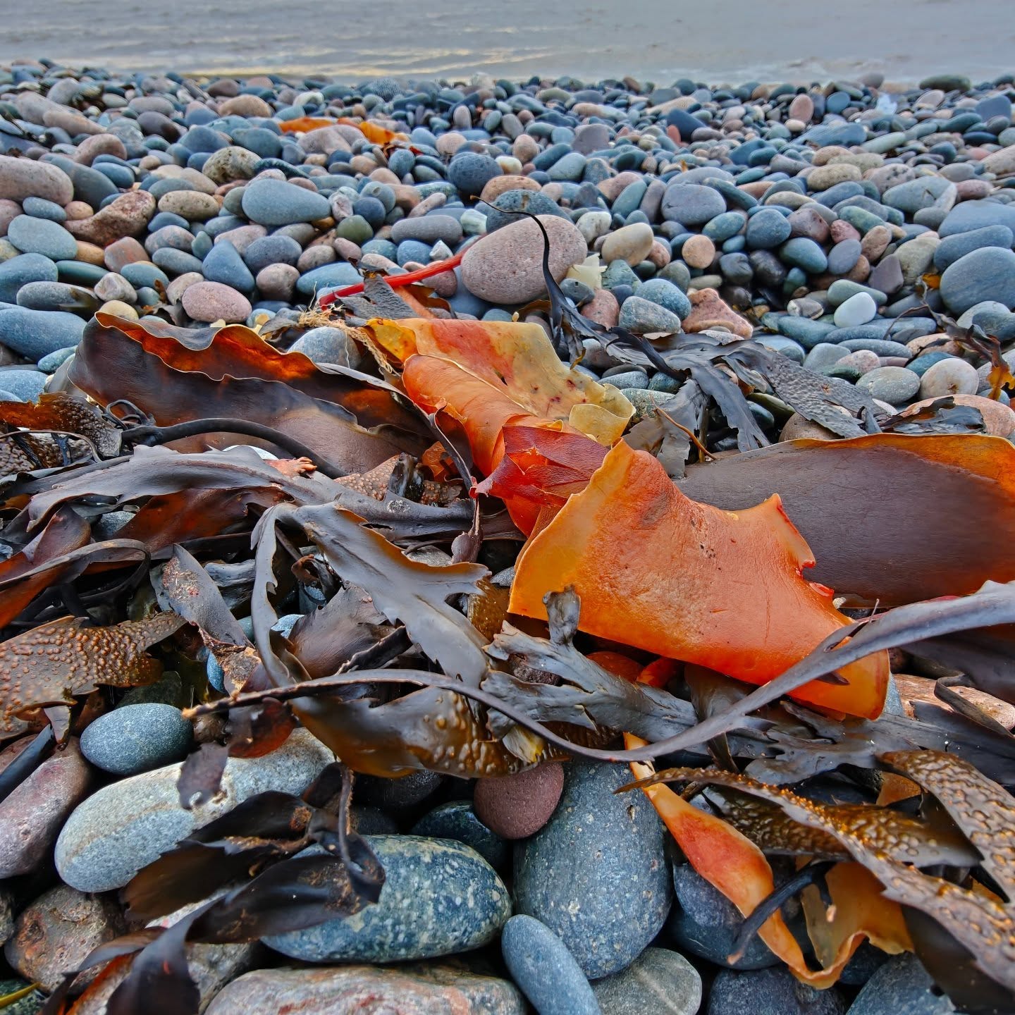 This year has been a rollercoaster! 🎢 Health issues and family worries threw my plans off track. It's tough as a solo entrepreneur when life gets in the way, but I'm learning to prioritise and be okay with things being a bit "up in the air." A recent beach walk reminded me of nature's calming power. 🌊 It's okay not to be perfect. ✨