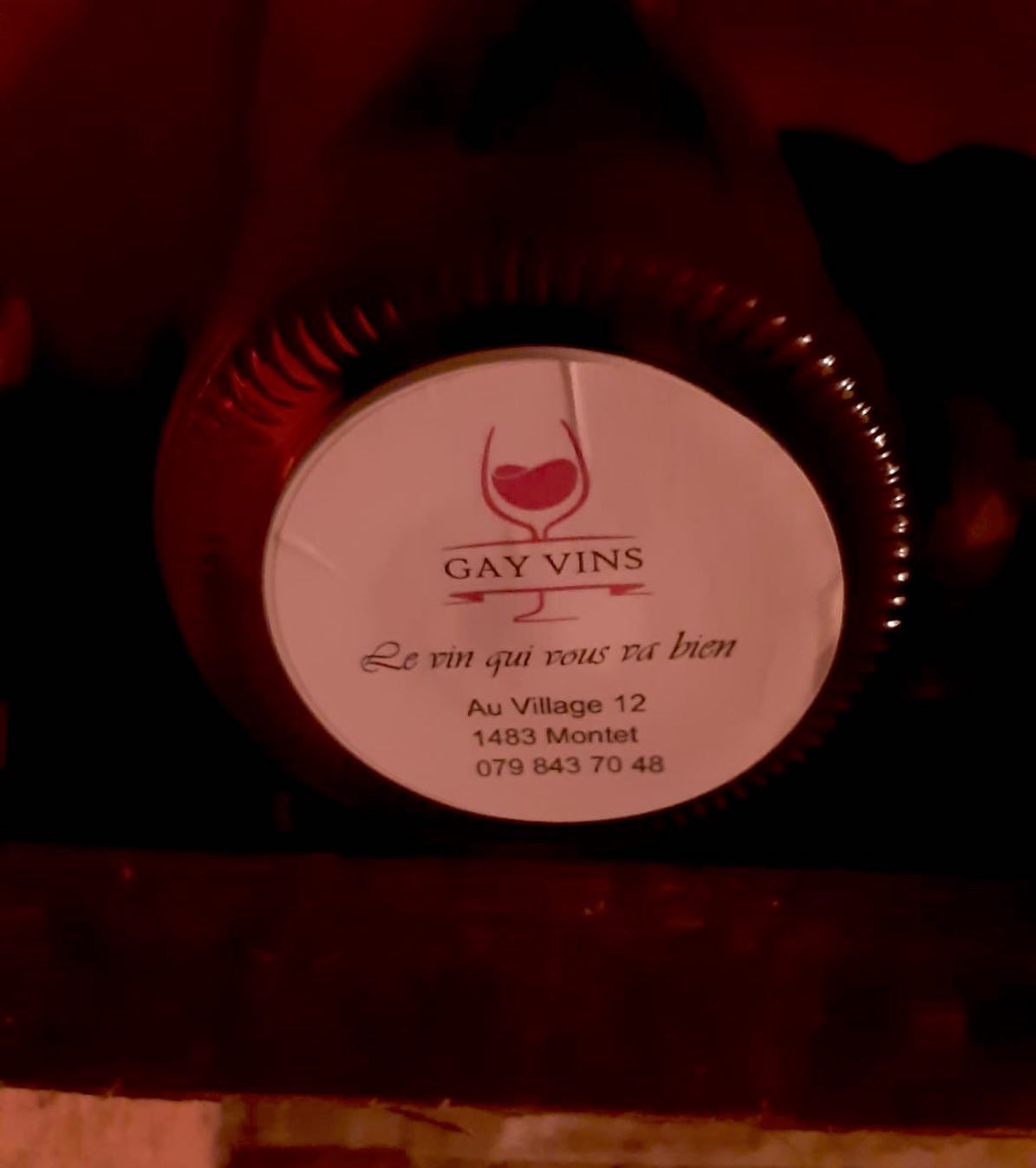 Bienvenue chez GAY-VINS 🍷#gayvinssuisse