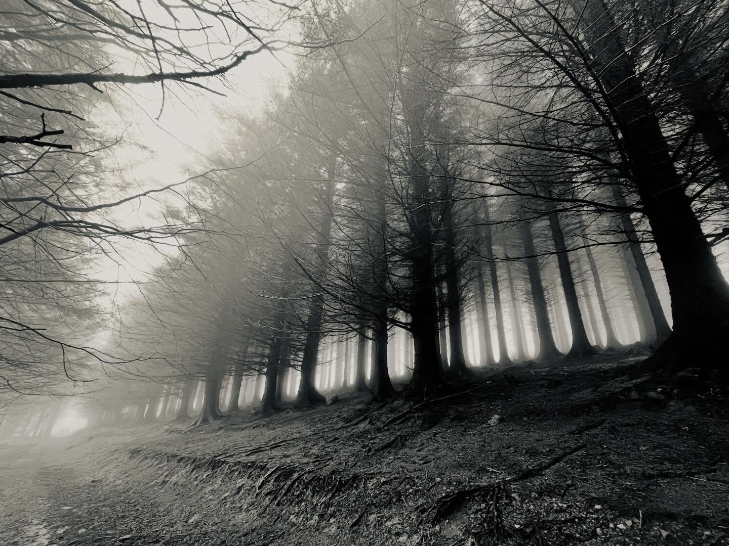 Magical misty mountain meander mood