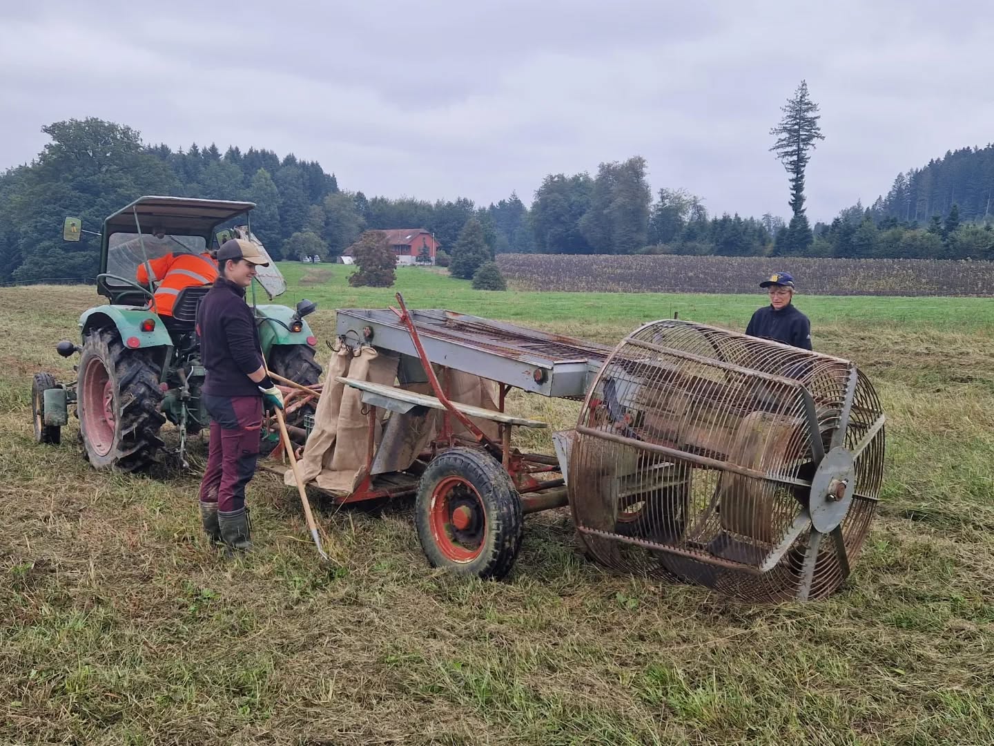 Es fanget a - eusi Hädöpfu Ärnti 😋 leider das Johr biz chlini Hädöpfeli ond au ned so vell - de Füechtigkeit ond de Chrutfüüli im Früehlig sei Dank 😒 Jäno, nechst Johr denn hoffentli weder meh!