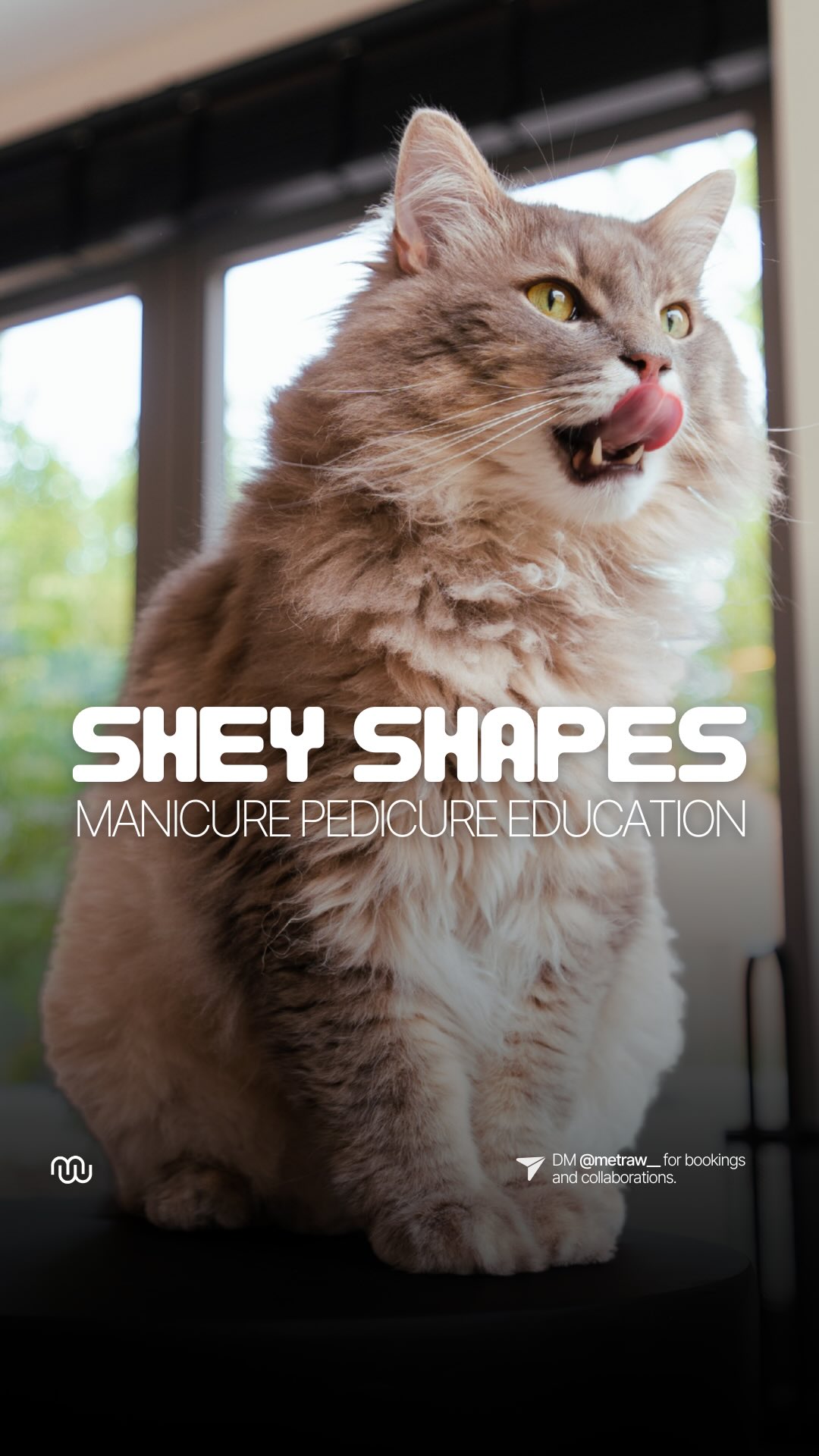 @shey.shapes photo- and video shoot was truly zen. @seymahas has the most peaceful demeanour. Focus and passion is what I saw filming her treatments up close.
Gotta love what you do.
Otherwise what’s the point?
It’s that simple.
#contentcreator #nailtech #antwerp #nailsalon #contentagency