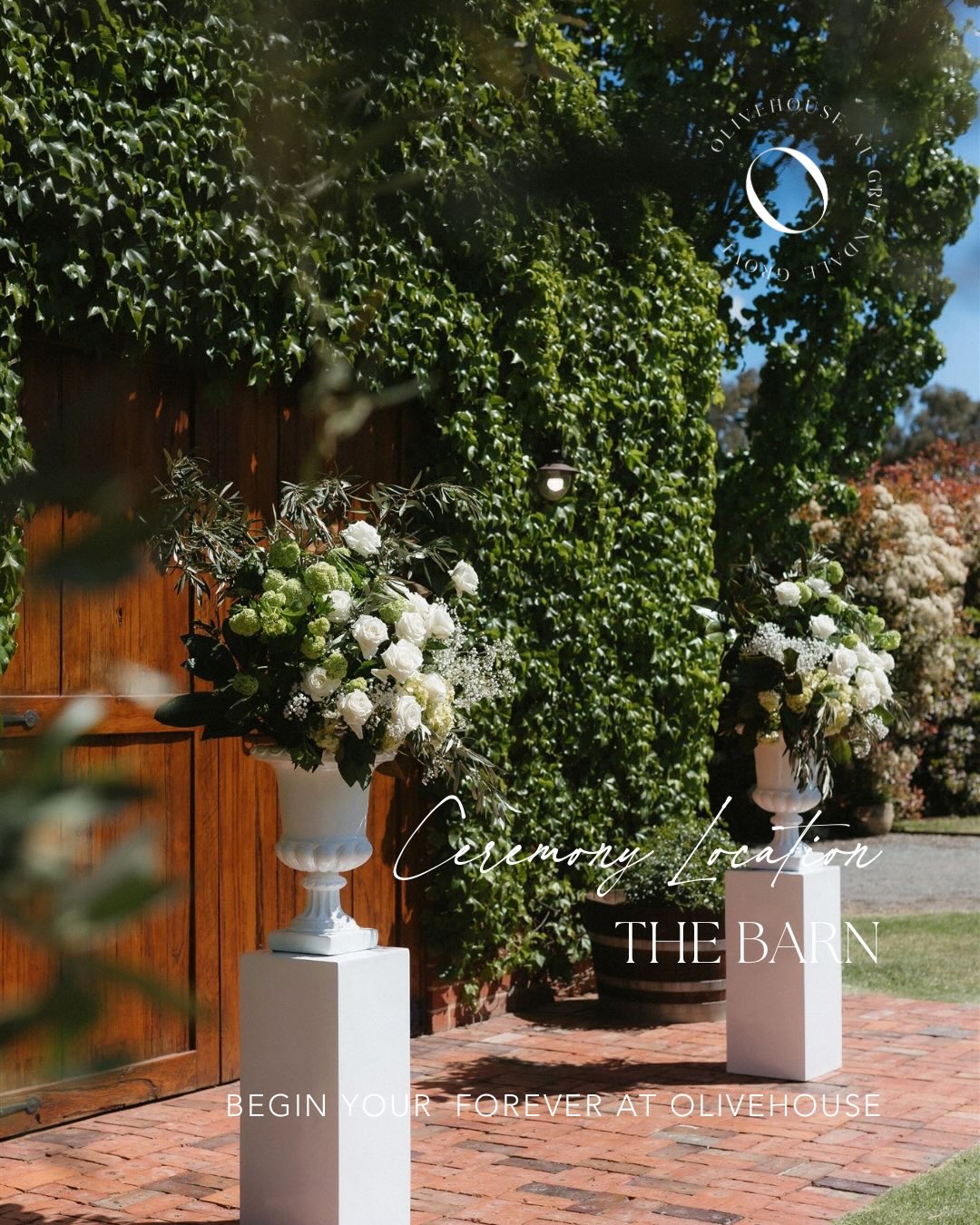 Sun-kissed vows beneath the ivy-covered barn 🤍
There’s something truly magical about saying “I do” in front of our rustic barn doors — warm timber tones, cascading greenery and timeless elegance creating a breathtaking ceremony backdrop. A setting that feels intimate, romantic and unforgettable from the very first moment.
Olivehouse at Greendale Grove is the perfect location for your wedding ceremony or elopement.
Now offering ceremony-only and elopement packages. Wander our grounds, gardens and olive grove for stunning photos, then celebrate afterwards with optional beverages or grazing (antipasto) boxes shared with your loved ones.
Enquire with Jacqui for details
📧 info@olivehouse.com.au
📞 5823 5455
📍 7230 Goulburn Valley Hwy, Kialla West
Photographer @aliciaflegphotography
Celebrant @celebrant.collective
#olivehouseatgreendalegrove #microwedding #weddingceremonyvenue #victoriaweddings #elopementvenue