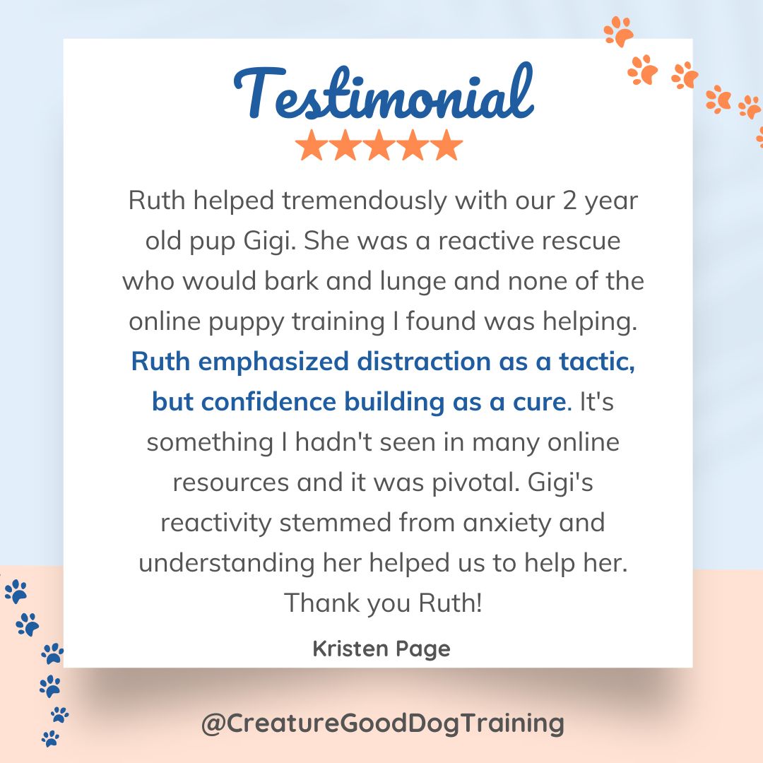 I loved working with Gigi and her people and I love this Google review because it mentions what's at the heart of the work I do!
"Ruth emphasized distraction as a tactic, but confidence building as a cure. It's something I hadn't seen in many online resources and it was pivotal."
You see a lot of trainers say not to distract your reactive dog. I strongly disagree! Sure, distracting isn't teaching. So, what? You can't teach an overwhelmed mind anyway. Distracting your dog when they won't be successful helps reduce overwhelm.
Don't go straight to changing the barking & lunging. Reactivity training won't work like that. Start by getting your dog's stress levels down. Then teach and see how quickly your pup picks up the new behaviors.
Ruth helped tremendously with our 2 year old pup Gigi. She was a reactive rescue who would bark and lunge and none of the online puppy training I found was helping. Ruth emphasized distraction as a tactic, but confidence building as a cure. It's something I hadn't seen in many online resources and it was pivotal. Gigi's reactivity stemmed from anxiety and understanding her helped us to help her. Thank you Ruth!