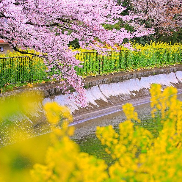 こんにちは、九国高等学院です。
今日からインスタグラムをはじめました。