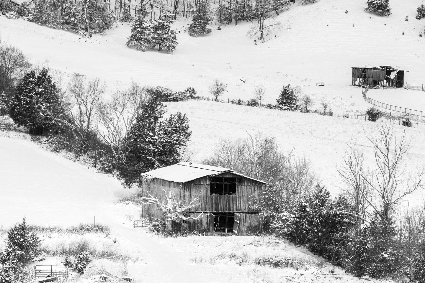 Winter is in full swing here in Northeast Tennessee. I went out for a drive this morning to see how the countryside looked, and it did not disappoint. I am very glad to be back in full swing taking pics again as well.
Camera: FujiFilm XT5
Lens: FujiFilm 50-140 f2.8
No filter
#fujifilmxt5 #fujifilmx_us #netn #winter #snow