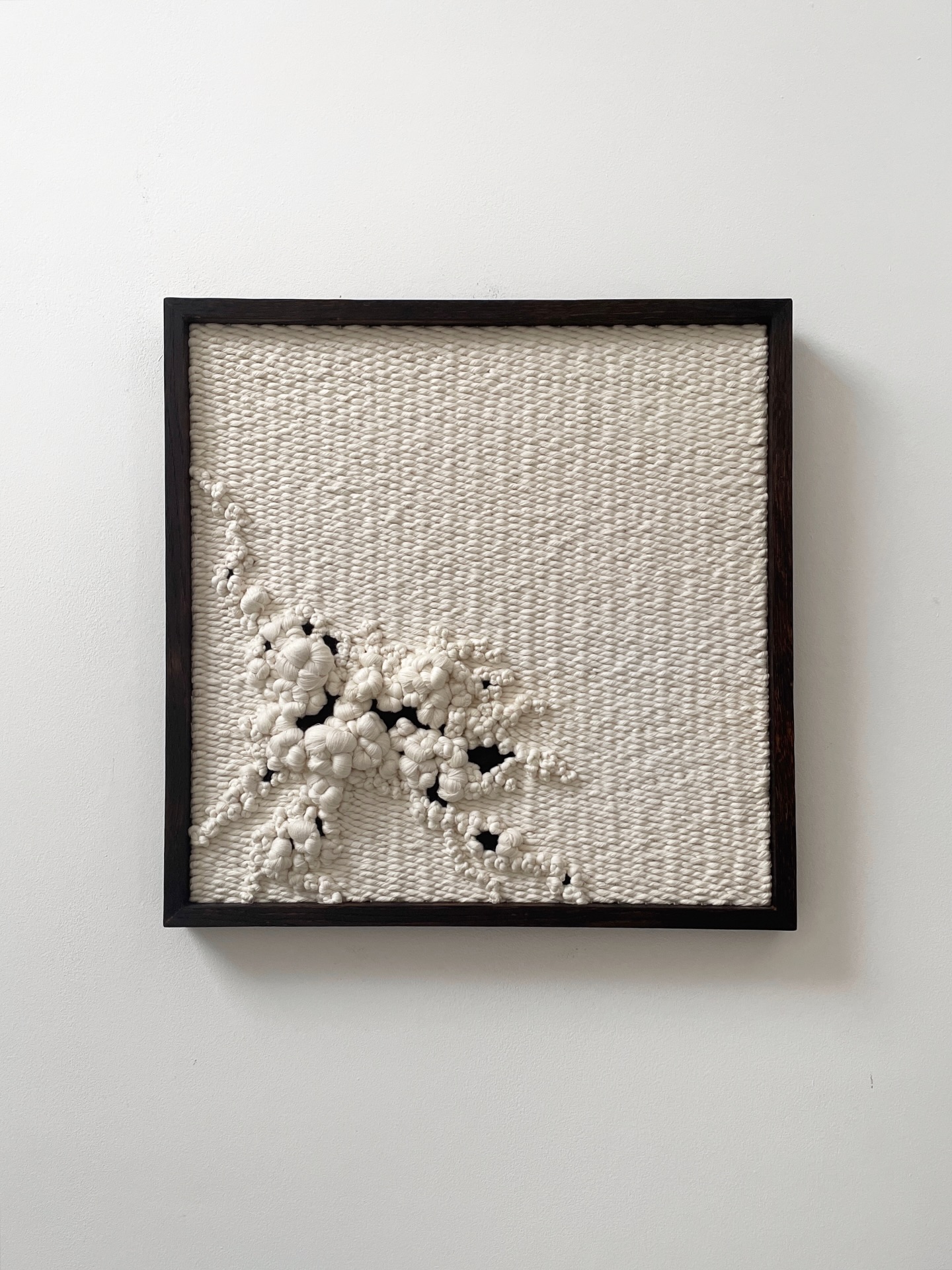 Tide Pool 001
An original woven sculptural piece, inspired by the small, intricate worlds revealed as the tide recedes.
45 × 45 cm
Oak frame, organic cotton.
This work reveals itself slowly — shifting texture, depth and shadow depending on where you stand.
This piece is currently available.
A quiet note: any works still available later this week will be heading to a large art fair, so availability will change shortly.
Details via the link in my bio or by DM.
.
.
.
.
www.ellecollins.com
UK artist. Birmingham artist. Wall art. Contemporary art. Art for interiors. Art for interior designers. Sculpture art. Textile wall art. Coastal style. Organic modern interior. Organic modern design. Texture art. Art for interiors. Statement art. Unusual art. Tactile art. Subtle art. Inspired by nature. Nature inspired art. Neutral interiors. Neutral home. Sustainable art. Sustainable design. Art collectors. Minimalist art.
#sculpturelwallart #contemporarytextileart #neutralinteriors #calmart
#inspiredbynature