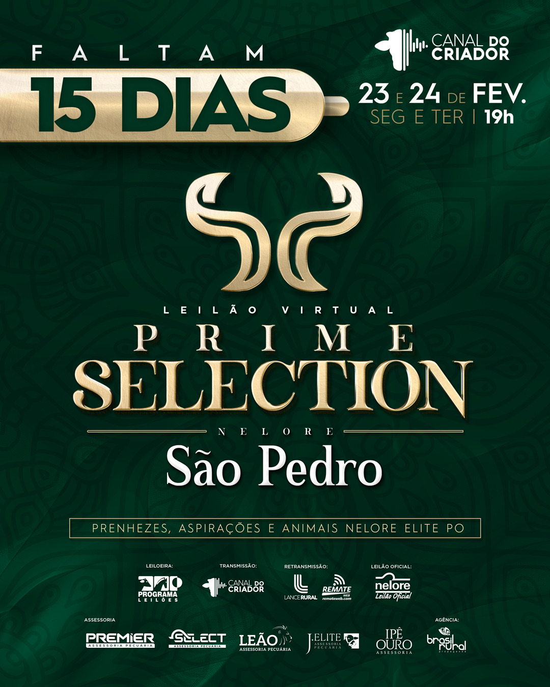 ⏳ FALTAM 15 DIAS!
Vem aí o Leilão Virtual PRIME SELECTION – Nelore São Pedro: uma seleção especial com prenhezes, aspirações e animais Nelore elite PO.
📅 23 e 24 de fevereiro
🕖 Segunda e terça, às 19h
📺 Transmissão: Canal do Criador
Prepare-se para acompanhar de onde estiver e garantir genética de alto nível.
✅ Ative o lembrete e marque quem não pode perder!
#LeilãoVirtual #Nelore #NelorePO #GenéticaNelore #Pecuária #MelhoramentoGenético #GadoDeCorte #PrimeSelection #SãoPedro