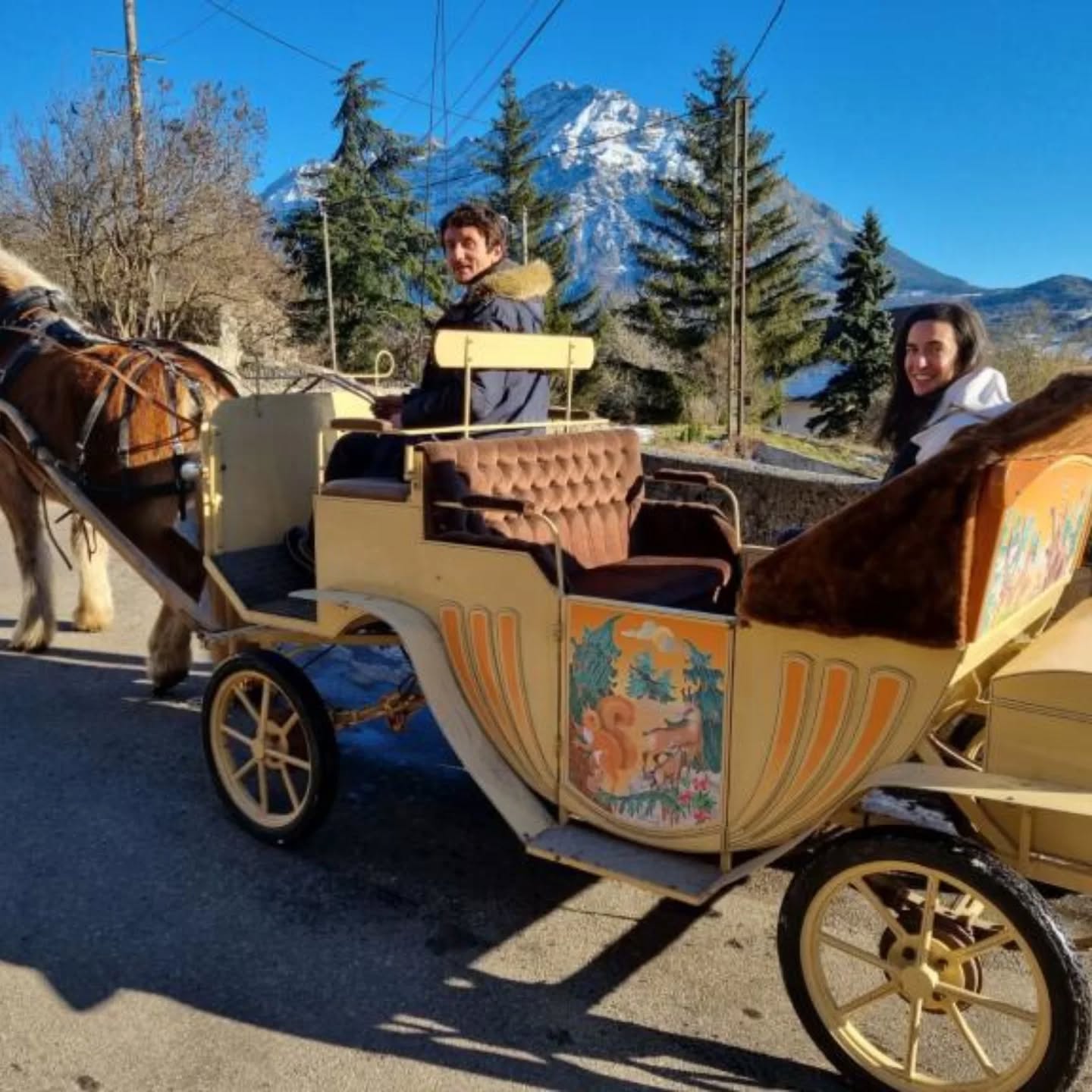 Promenade en calèche au départ de Labroue (Saint Firmin), tous les jours sauf en cas de pluie. Calèche très confortable et entièrement privatisé pour vous.
Promenade entre sous bois, jolis points de vue sur la vallée et les montagnes, et villages.
Tarifs : 30 minutes 35 € ou 1h 60 €, sortie plus longue possible sur demande (le prix s'entend par promenade et ne dépend pas du nombre de passagers bien sûr).
Nombre maximum de personnes admises à bord : 4 adultes ou 2 adultes et 3 enfants.
Réservation par MP ou téléphone (0689522951)
Autres prestations possibles sur demande.
À bientôt ! 😁
#champsaurvalgaudemar
#saintfirmin
#parcdesecrins