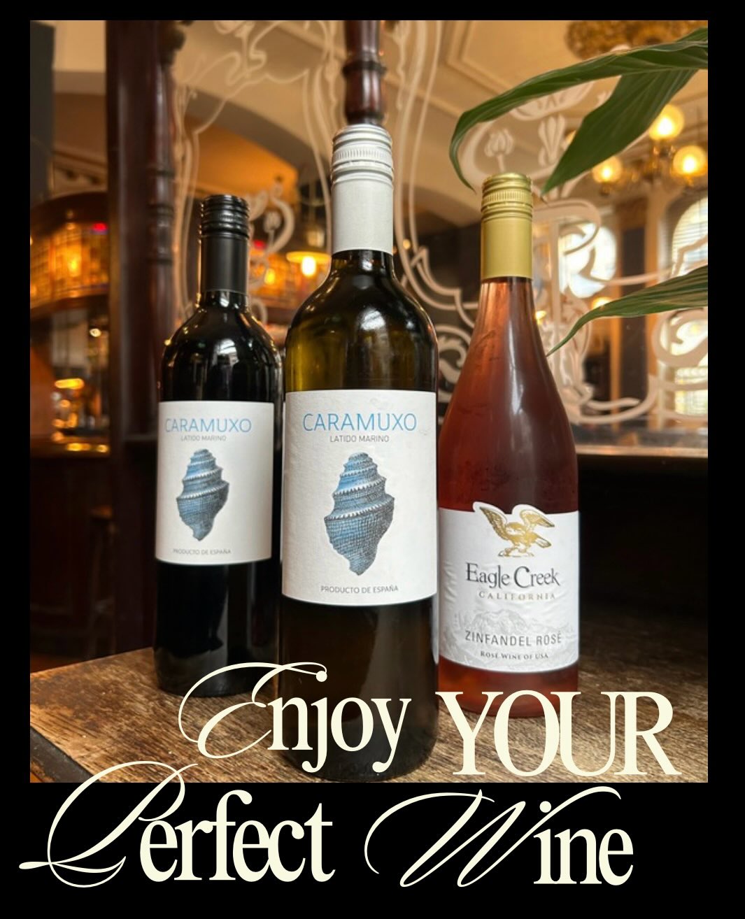 Red White or Rosé? 🍷
Choose your favourite — we’ll pour it🤍
#wine #pub #liverpool #wineanddine #localbusiness