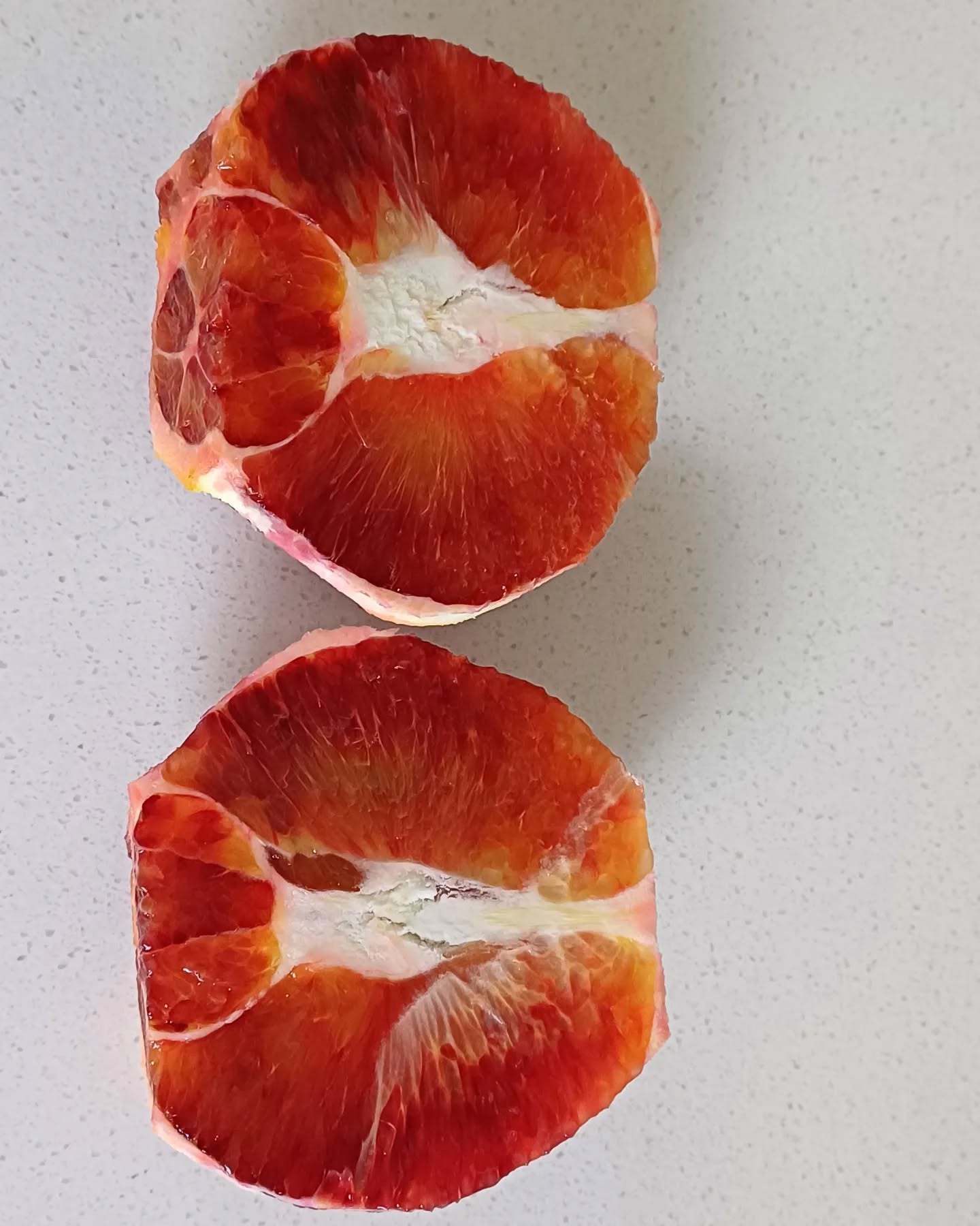 One of the most beautiful oranges: Bloedlemoen