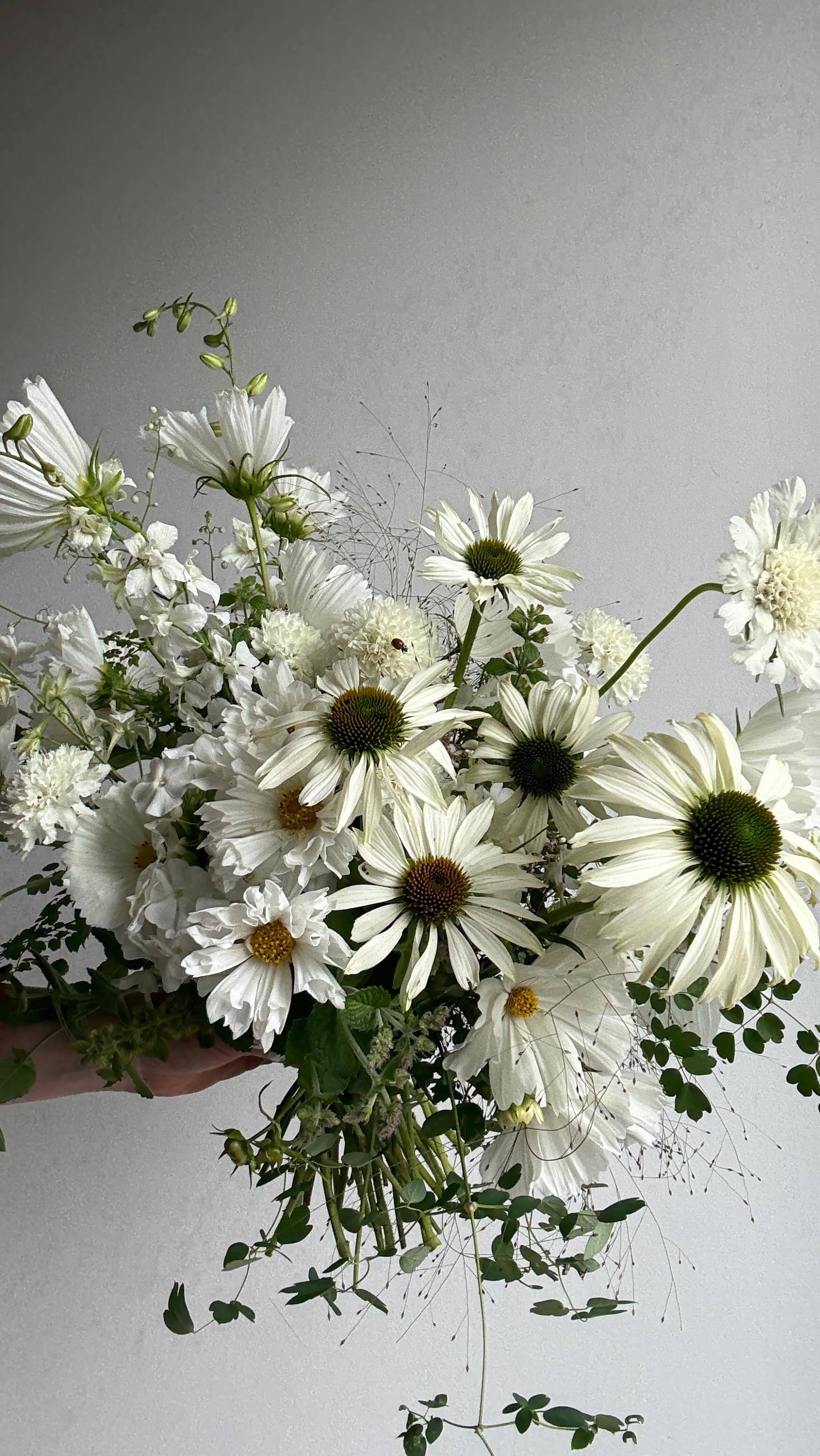 Expertly grown for your day
Luxury wedding flowers grown in Cheshire and curated into a pallet of exquisite floral ingredients for you. You won’t find these flowers anywhere else.
We take on a limited number of exclusive weddings each year. Now booking for 2026 & 2027. Enquire through bio.
#cheshireflorist #sustainableweddingflowers #weddingflowers