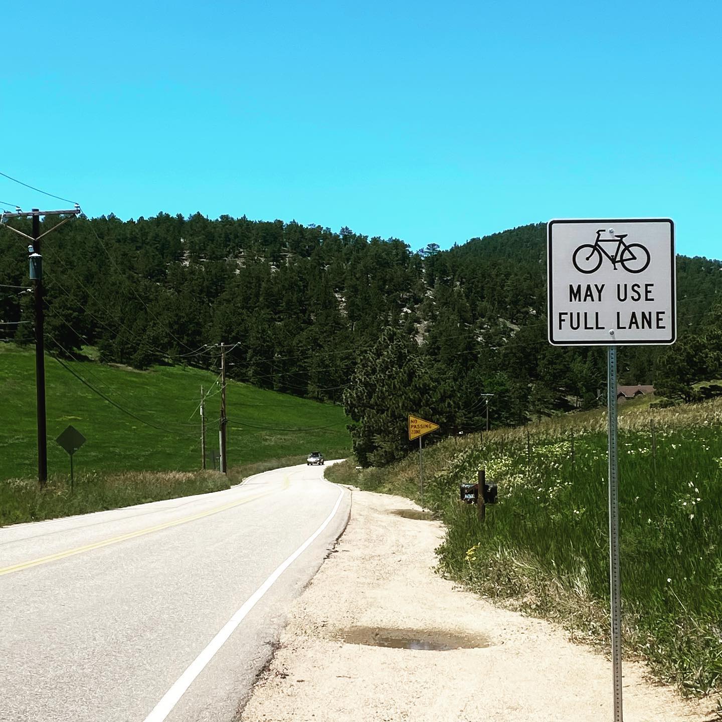 Two of the 18 new signs on #leehill drive , this IS NOT a safe road for #bikes to use the full lane!