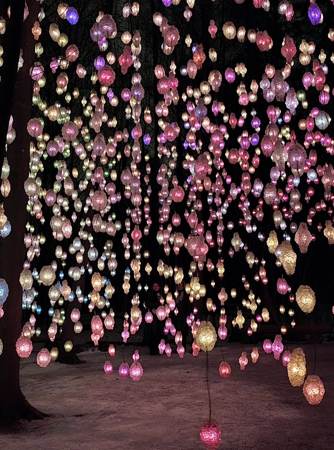 📷 Dorottya Solberg @dorottyageczi